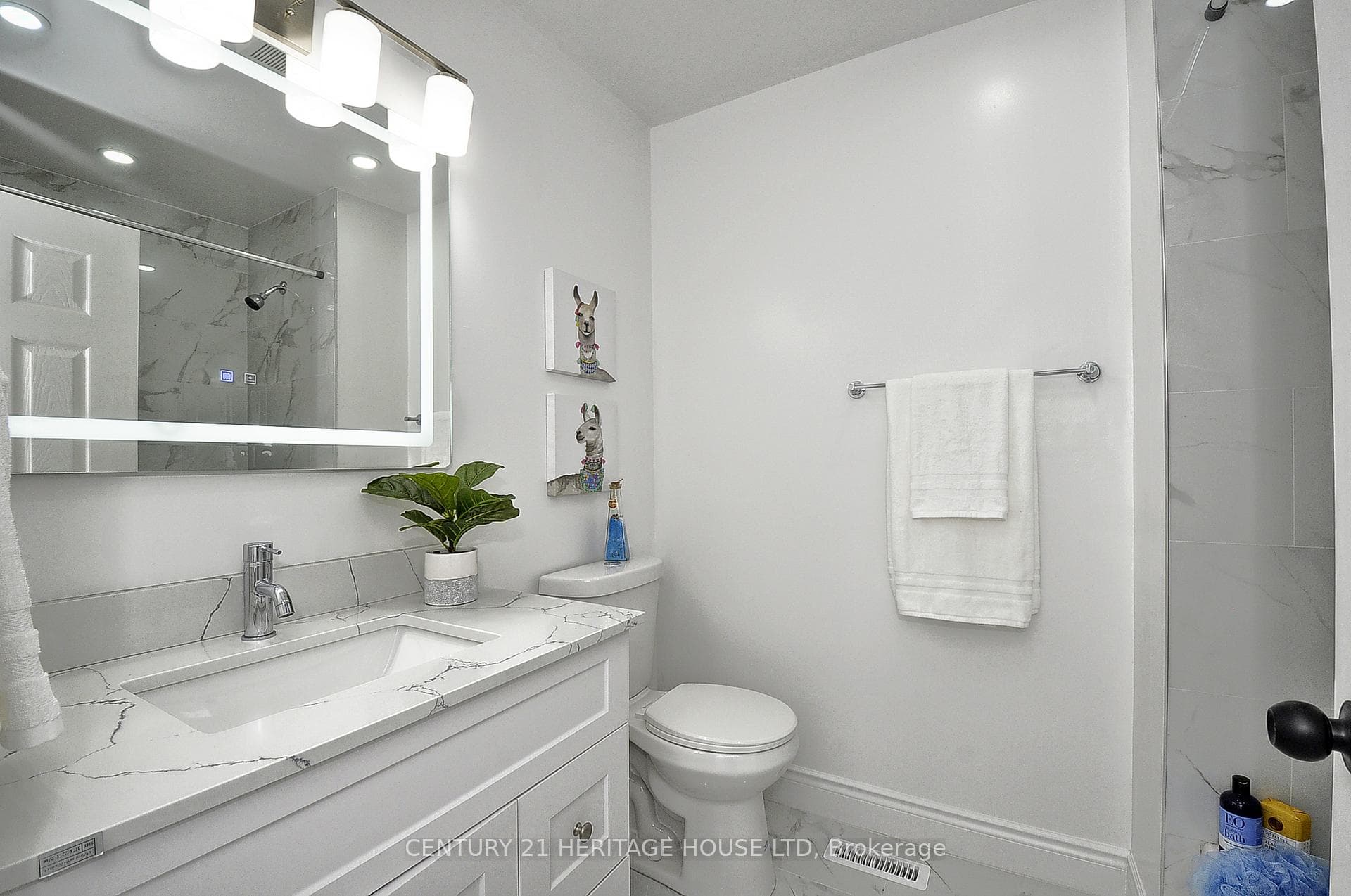 244 Northlake Drive photo 20