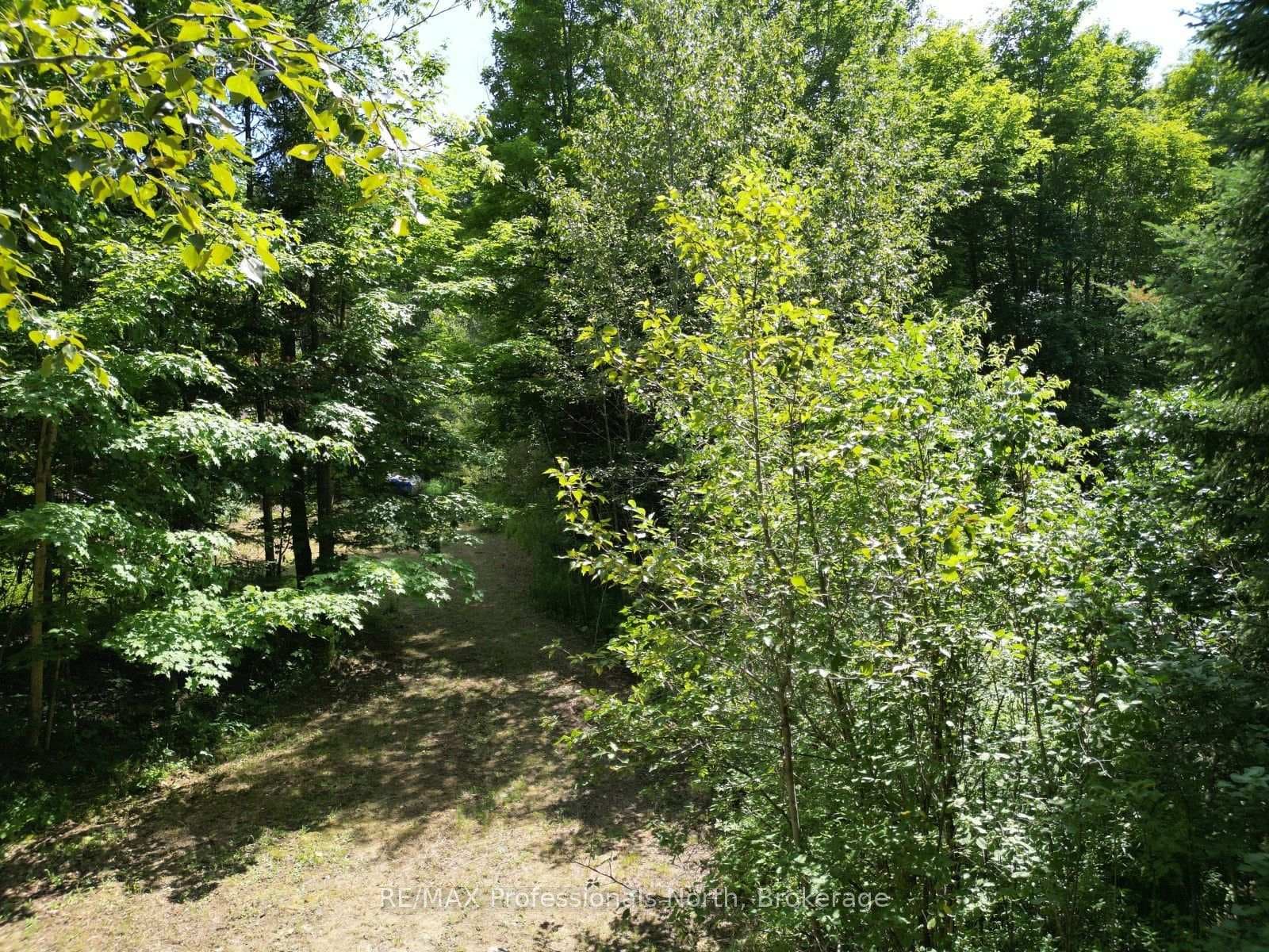 1170 Bushwolf Lake Road photo 16