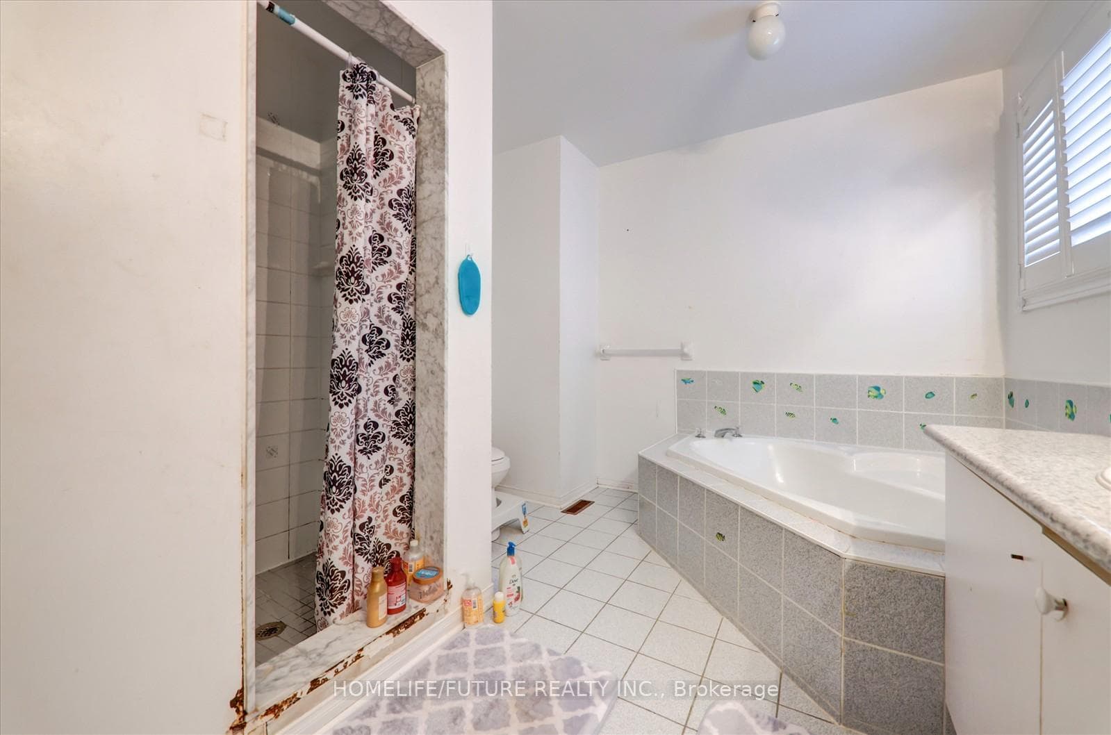 10 Hania Terrace photo 34