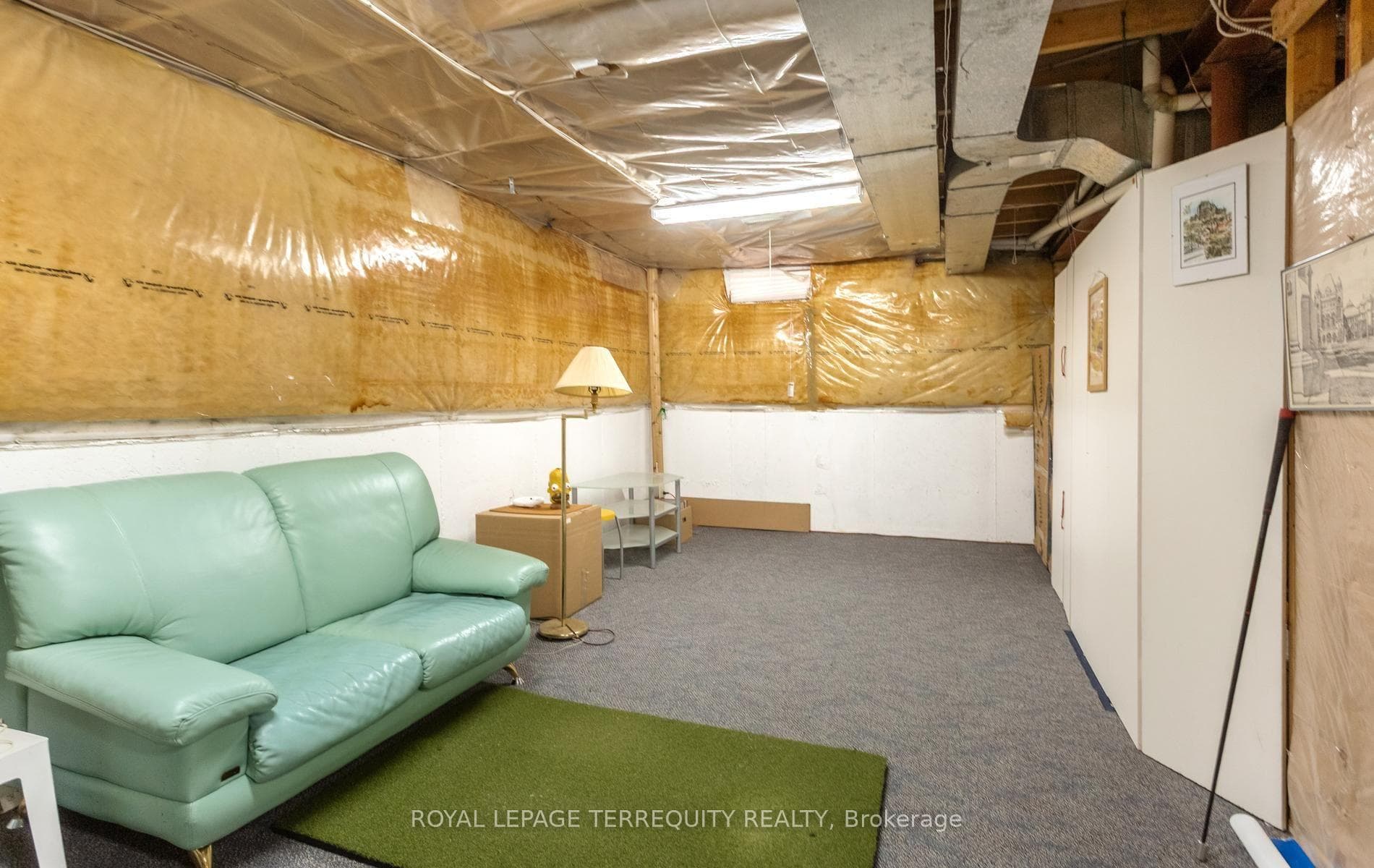 Basement Pic 1