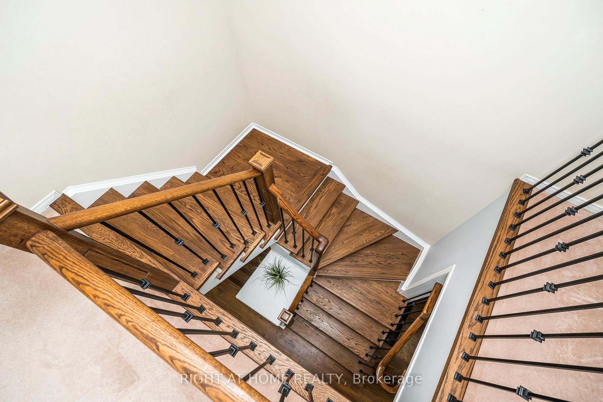 31 Tansley Crescent photo 16