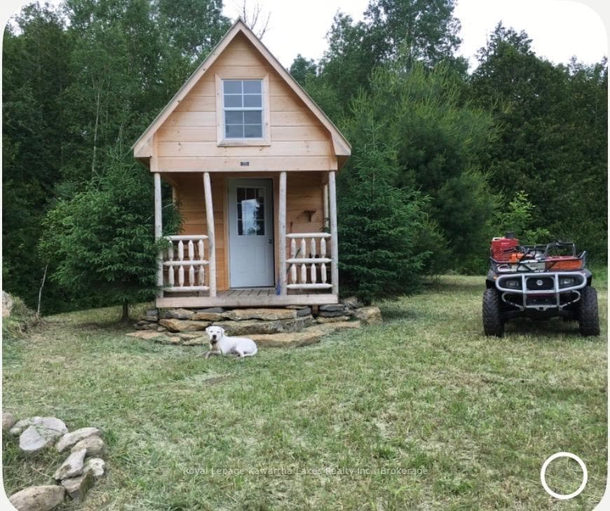 Cabin in the Tree line