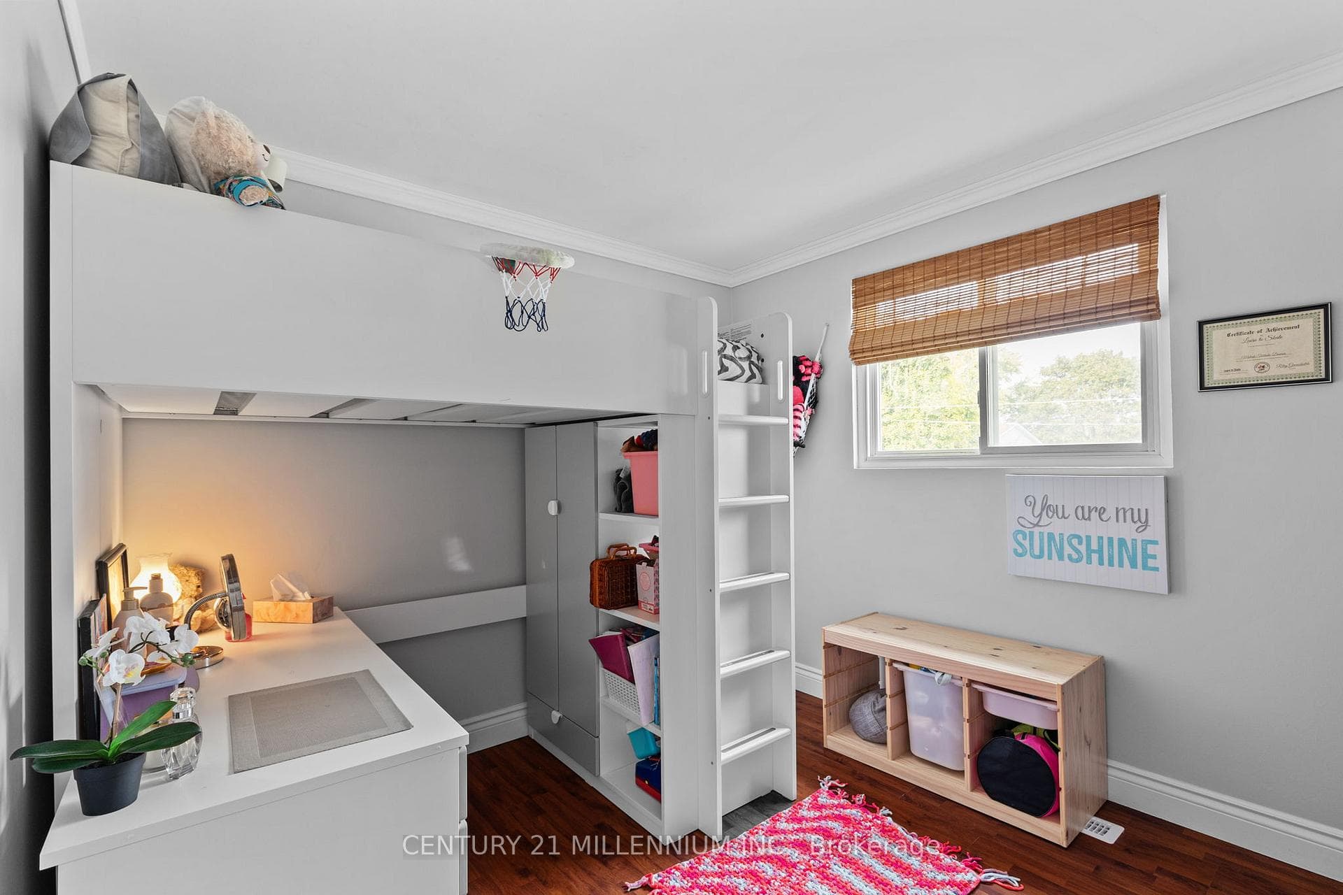 712 Elgin Street photo 26