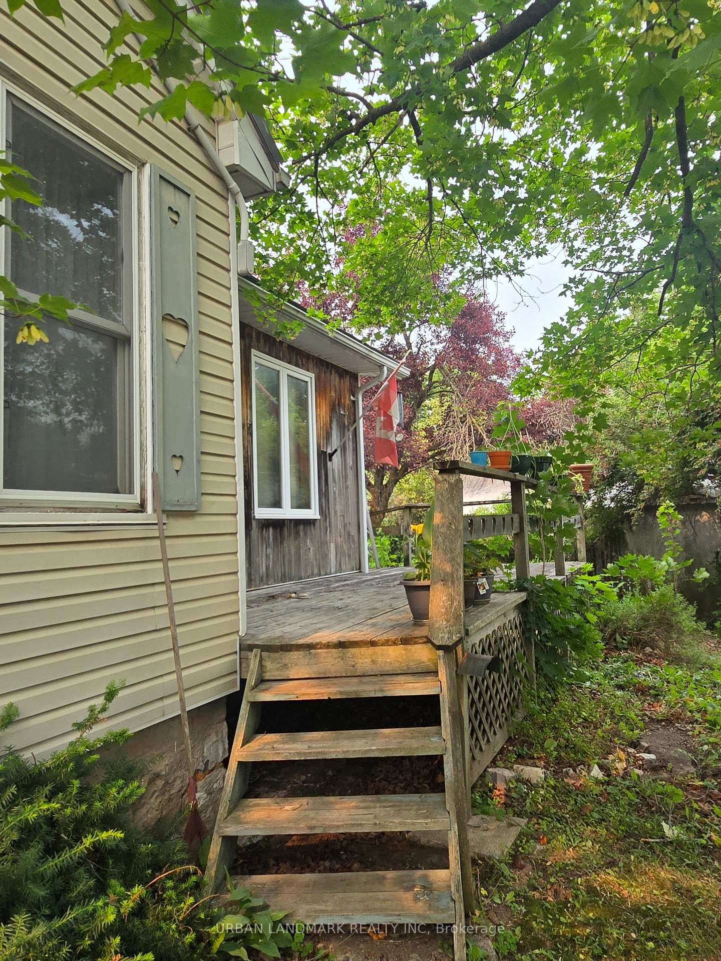 55 Nelson Street photo 5