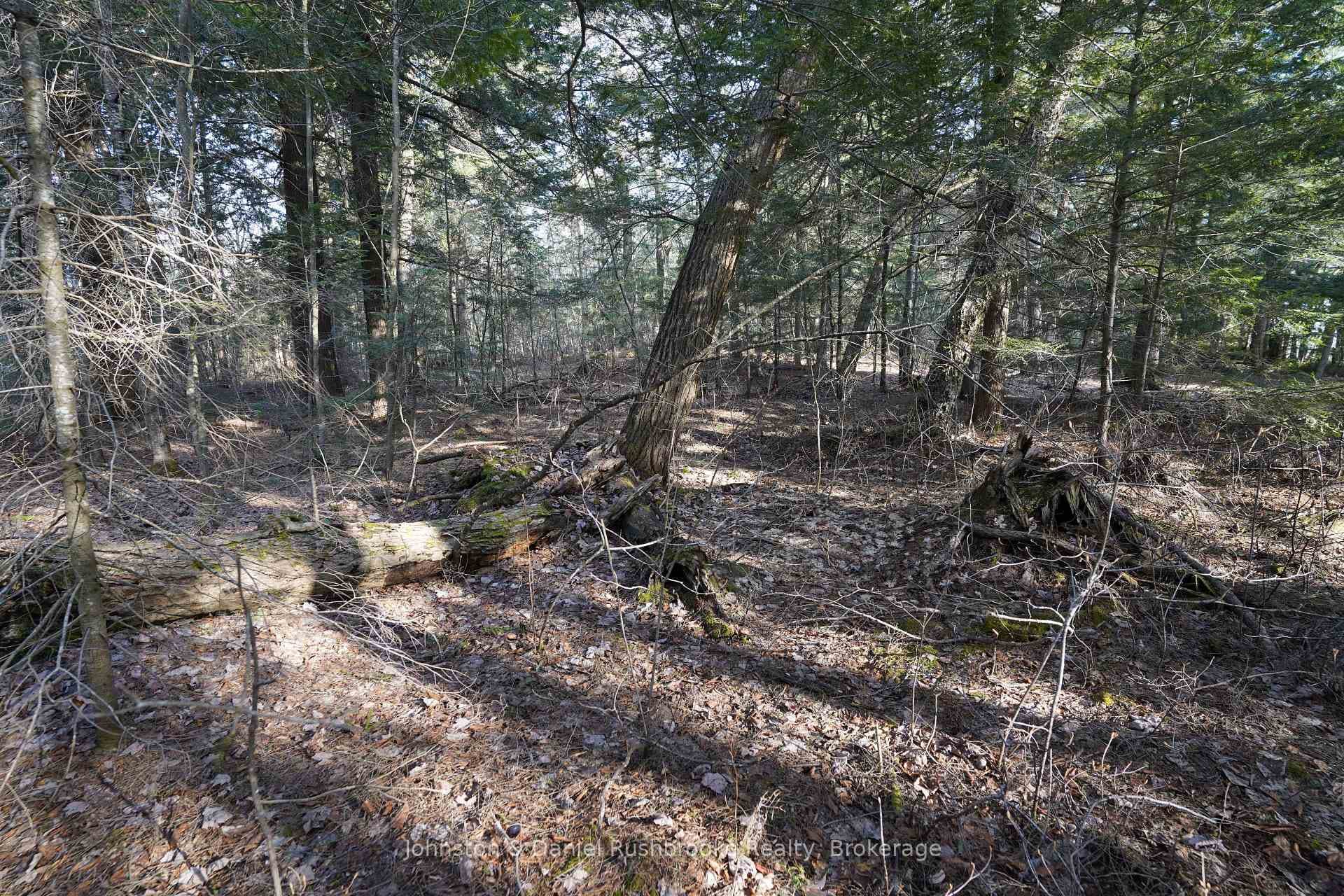 Lot 1 West Bear Lake Road photo 14