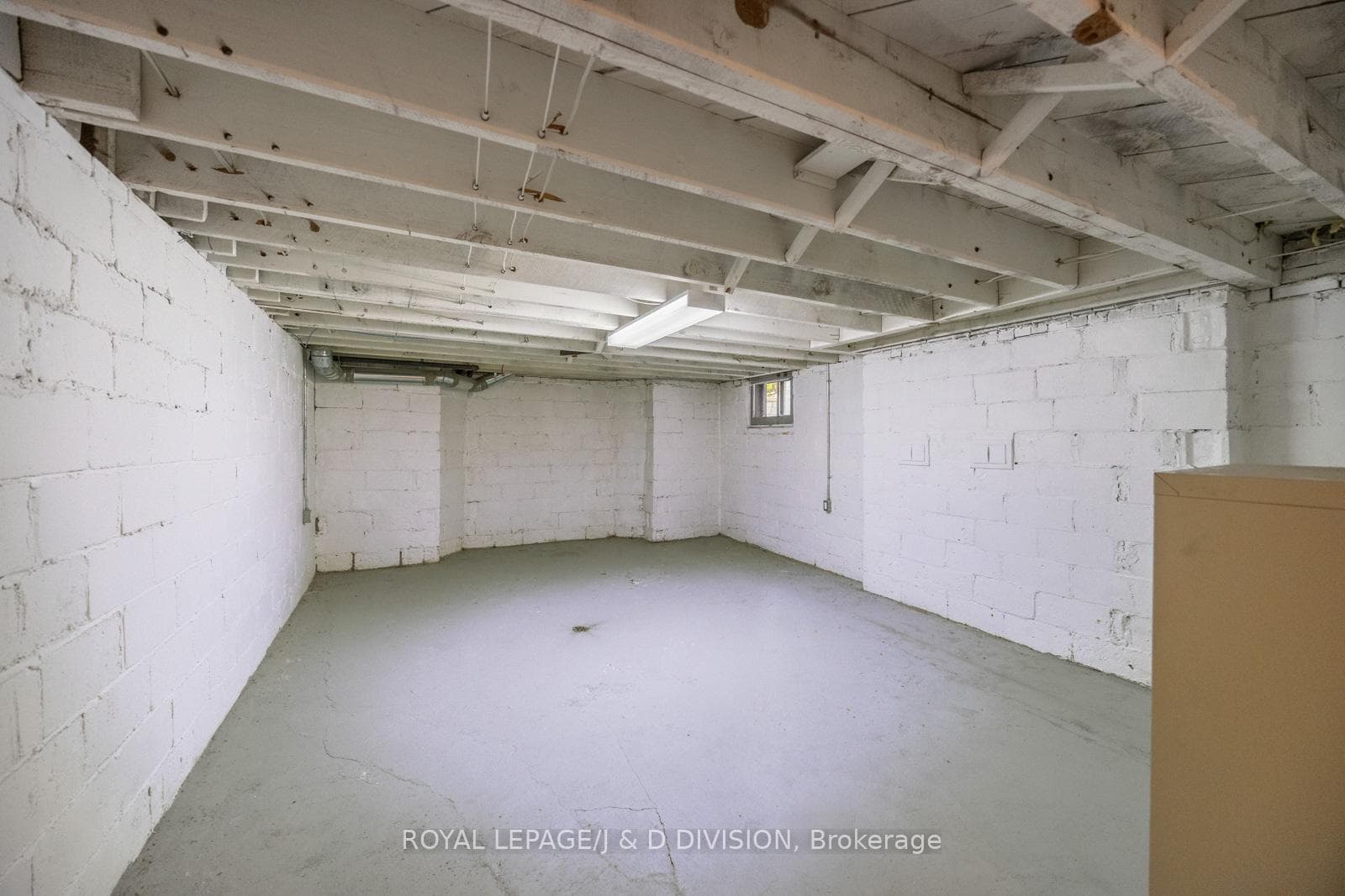 Massive basement with tons of potential