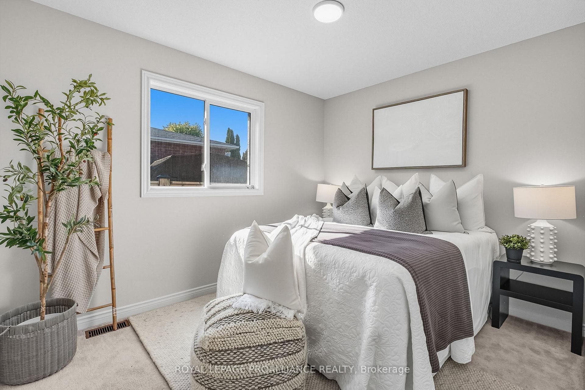 20 Patrick Drive photo 27