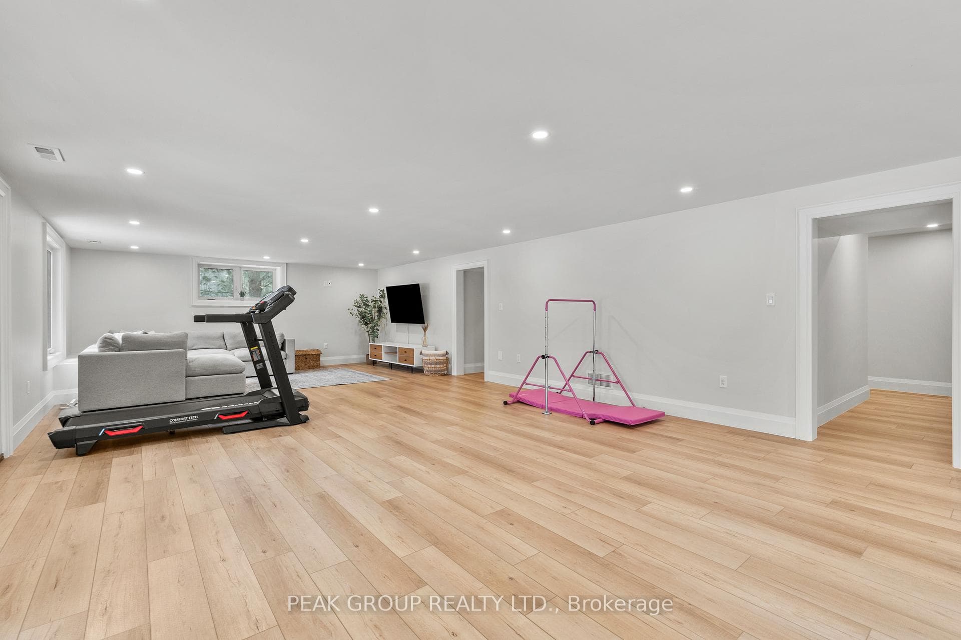 Lower level Rec room