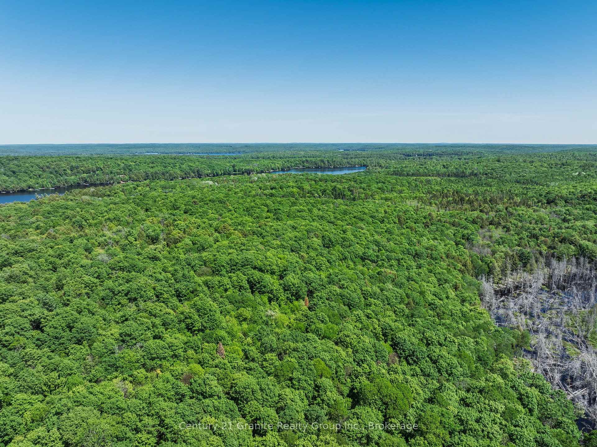 0 Kushog Lake Road photo 14