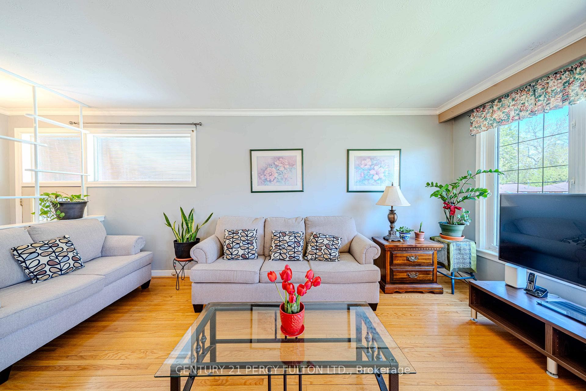 98 Mossbank Drive photo 9