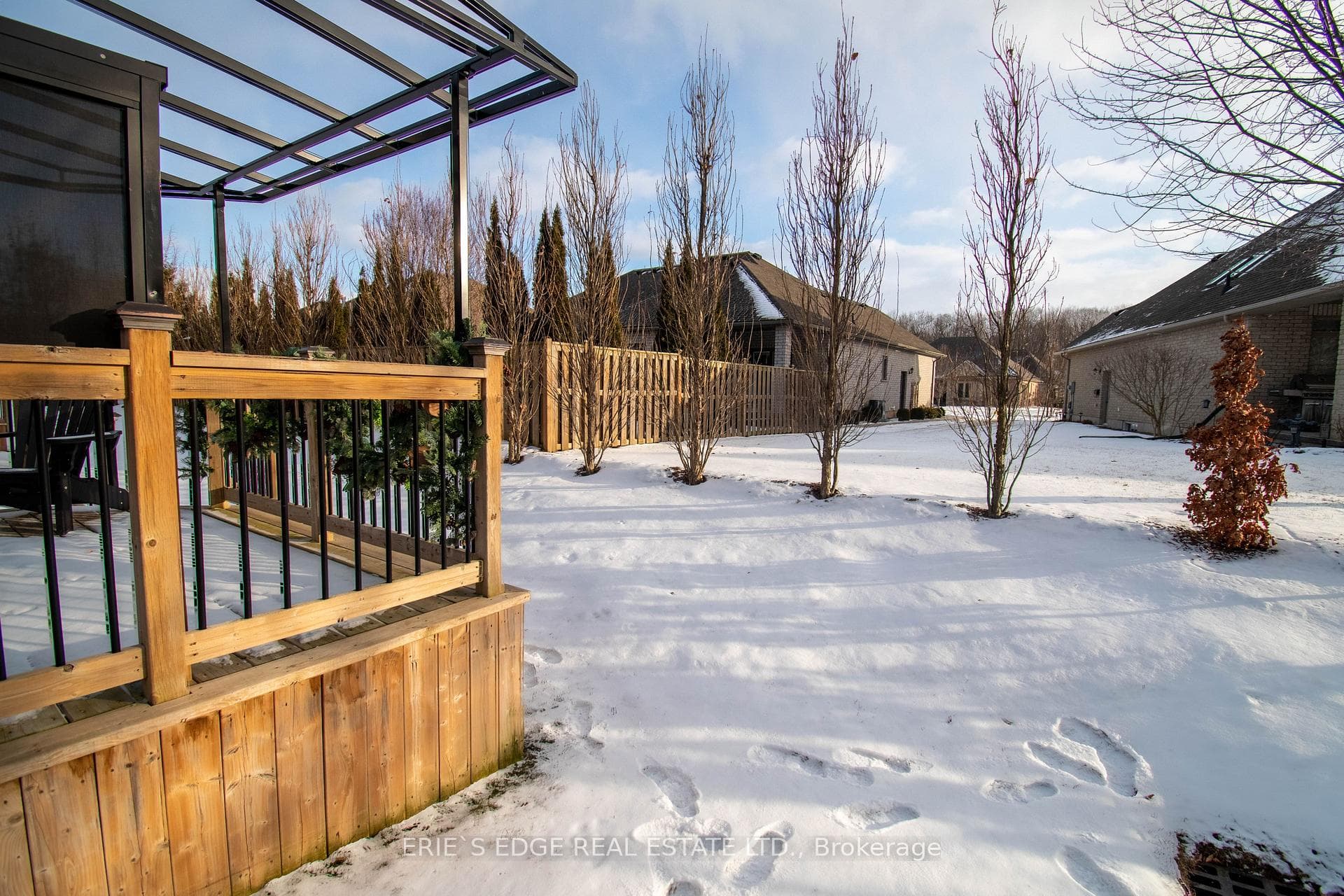 Winter Yard View