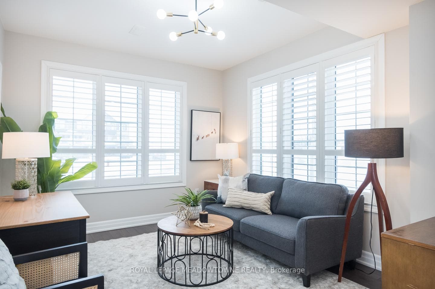 large in law suite with tons of windows