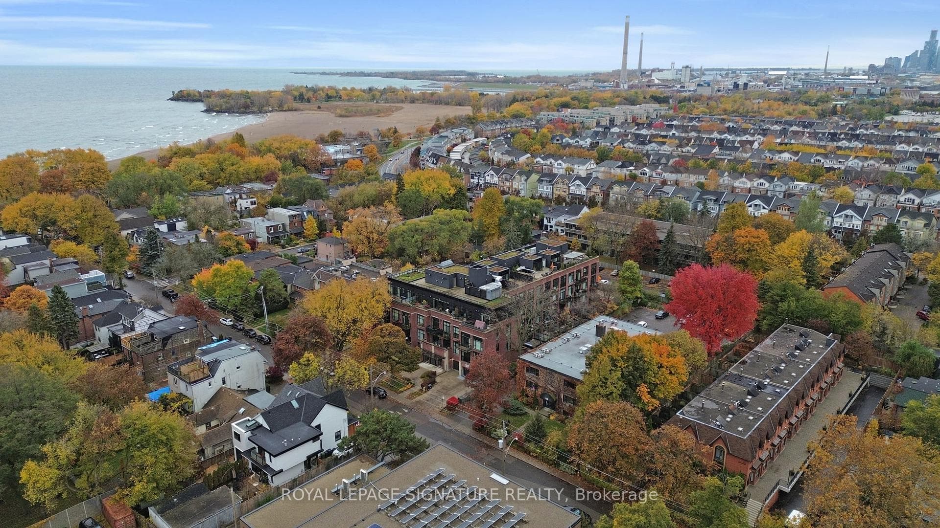 66 Kippendavie Avenue Unit 206 photo 42