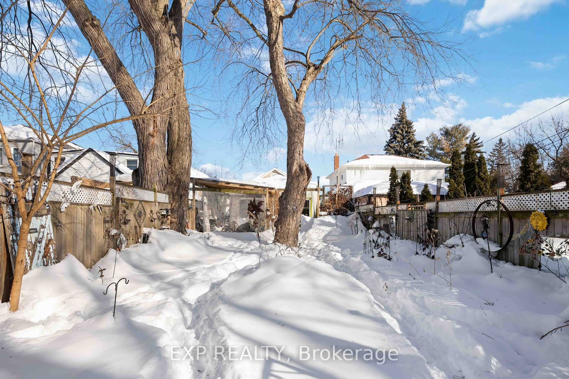 back yard