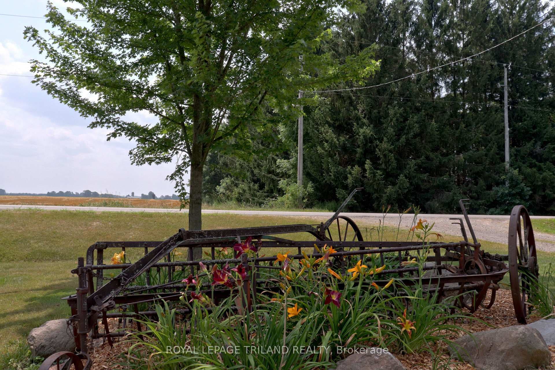 15796 Nine Mile Road photo 35