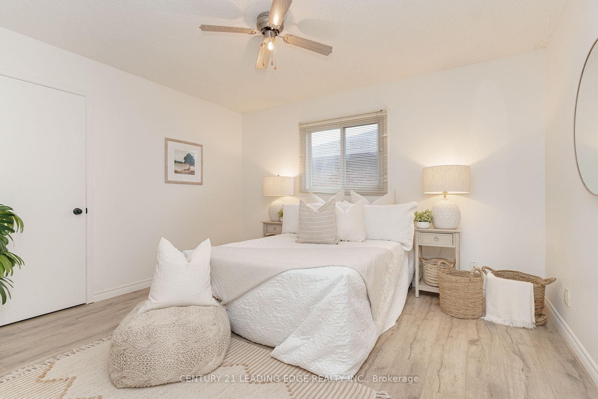 244 Homestead Drive photo 26