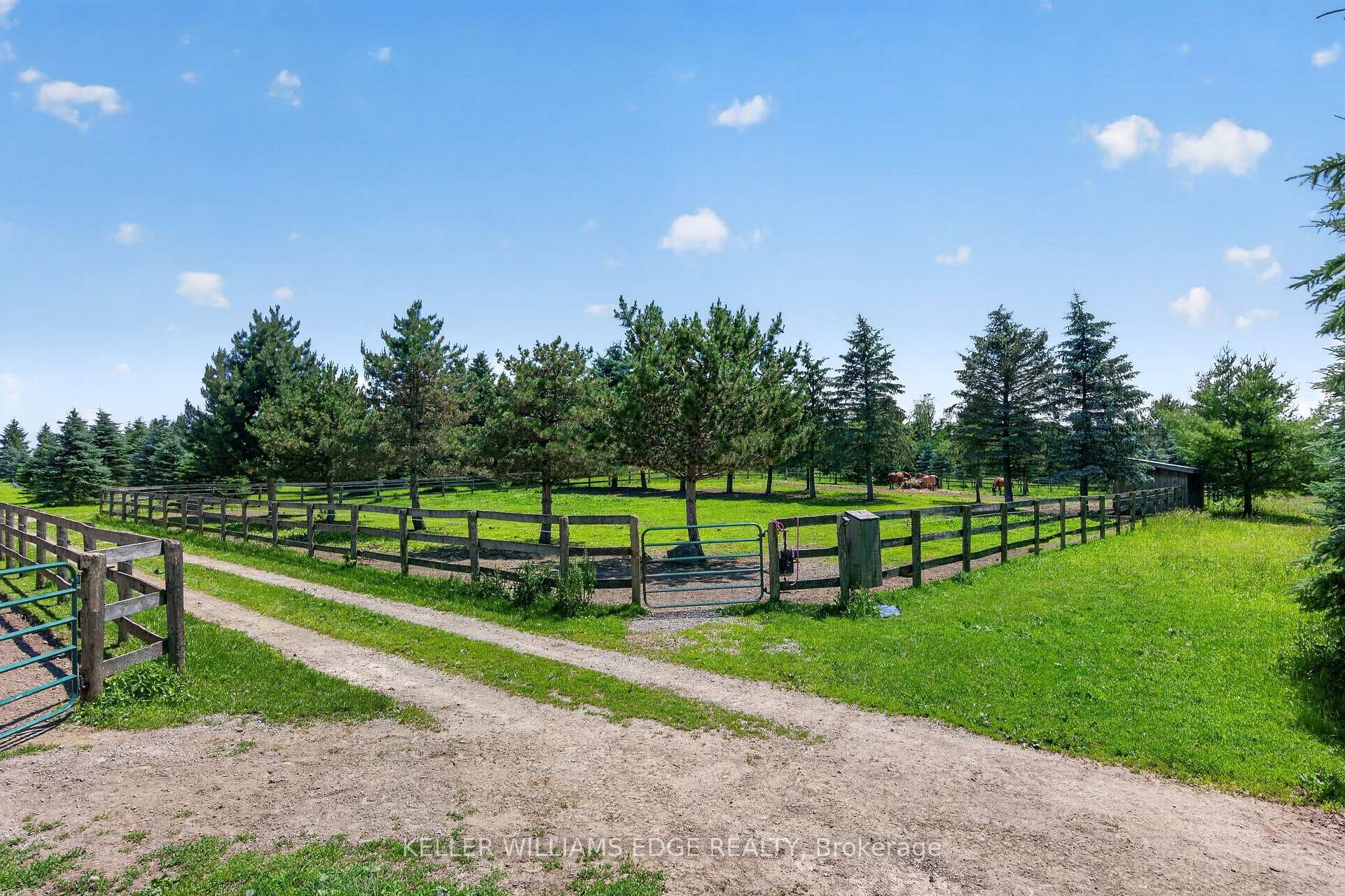 PADDOCKS