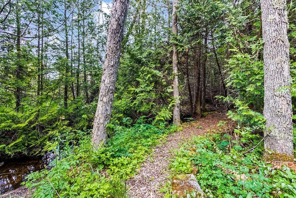 LOT 53 SPRY SHORE Road photo 24