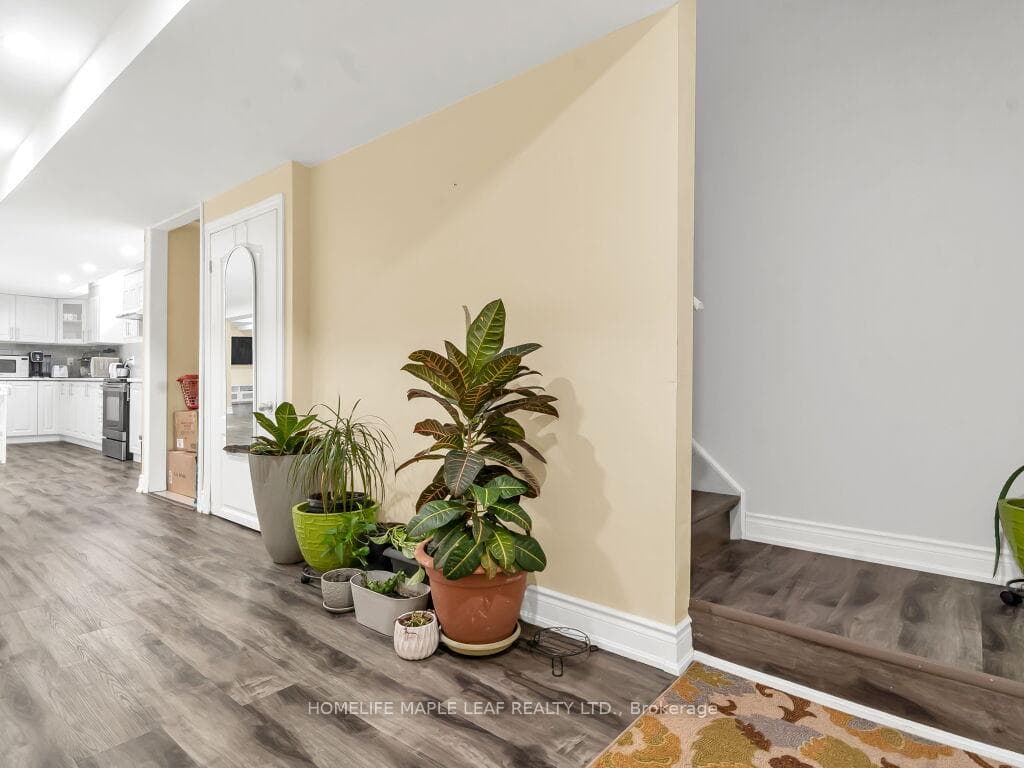 35 Dotchson Avenue photo 35