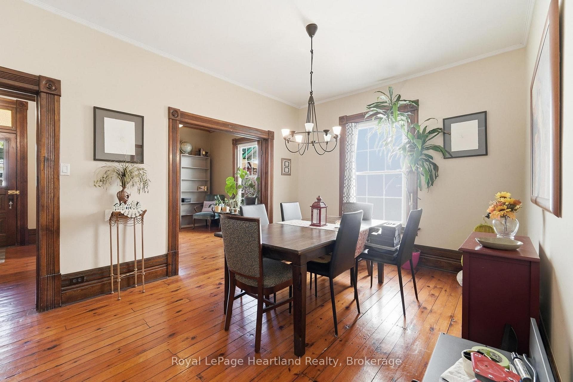 36 Trafalgar Street photo 12