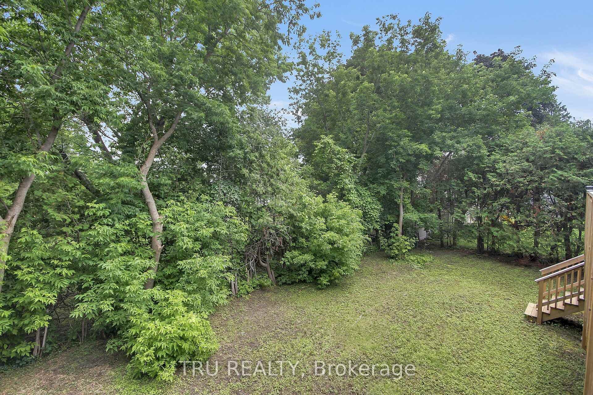 26 Langholm Crescent photo 29