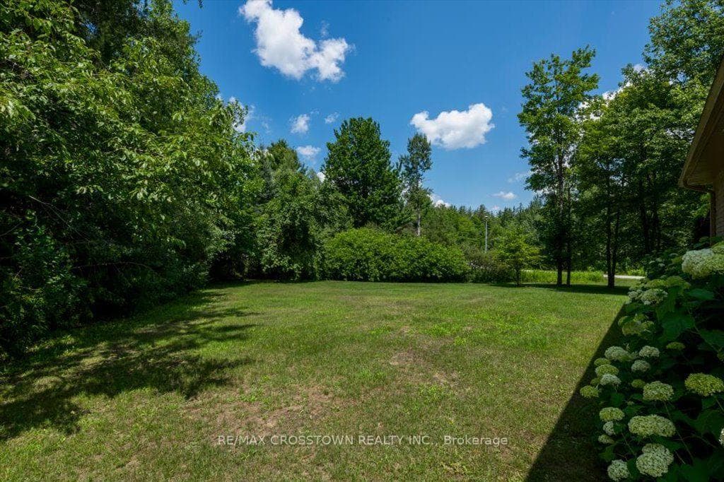 Side yard