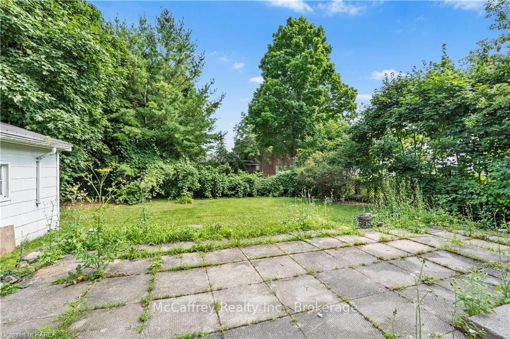 44 GRAHAM Street photo 35