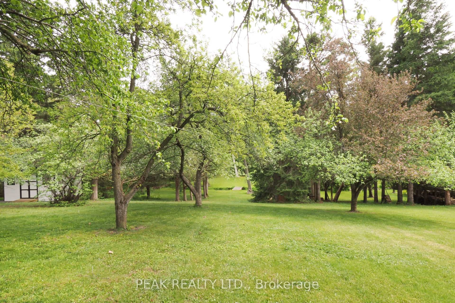 159 Riverbank Drive photo 38
