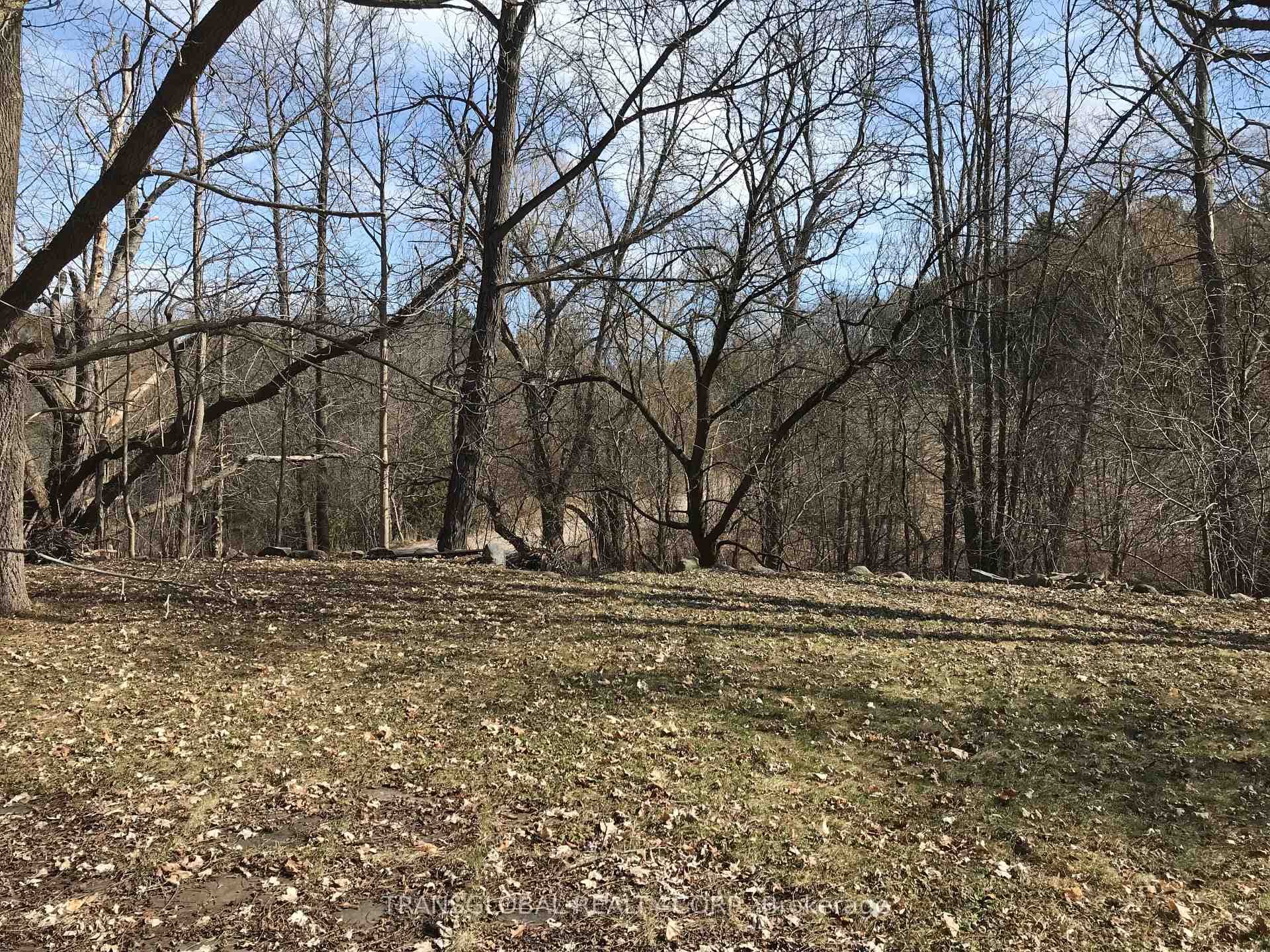 41 Glenville Road photo 2