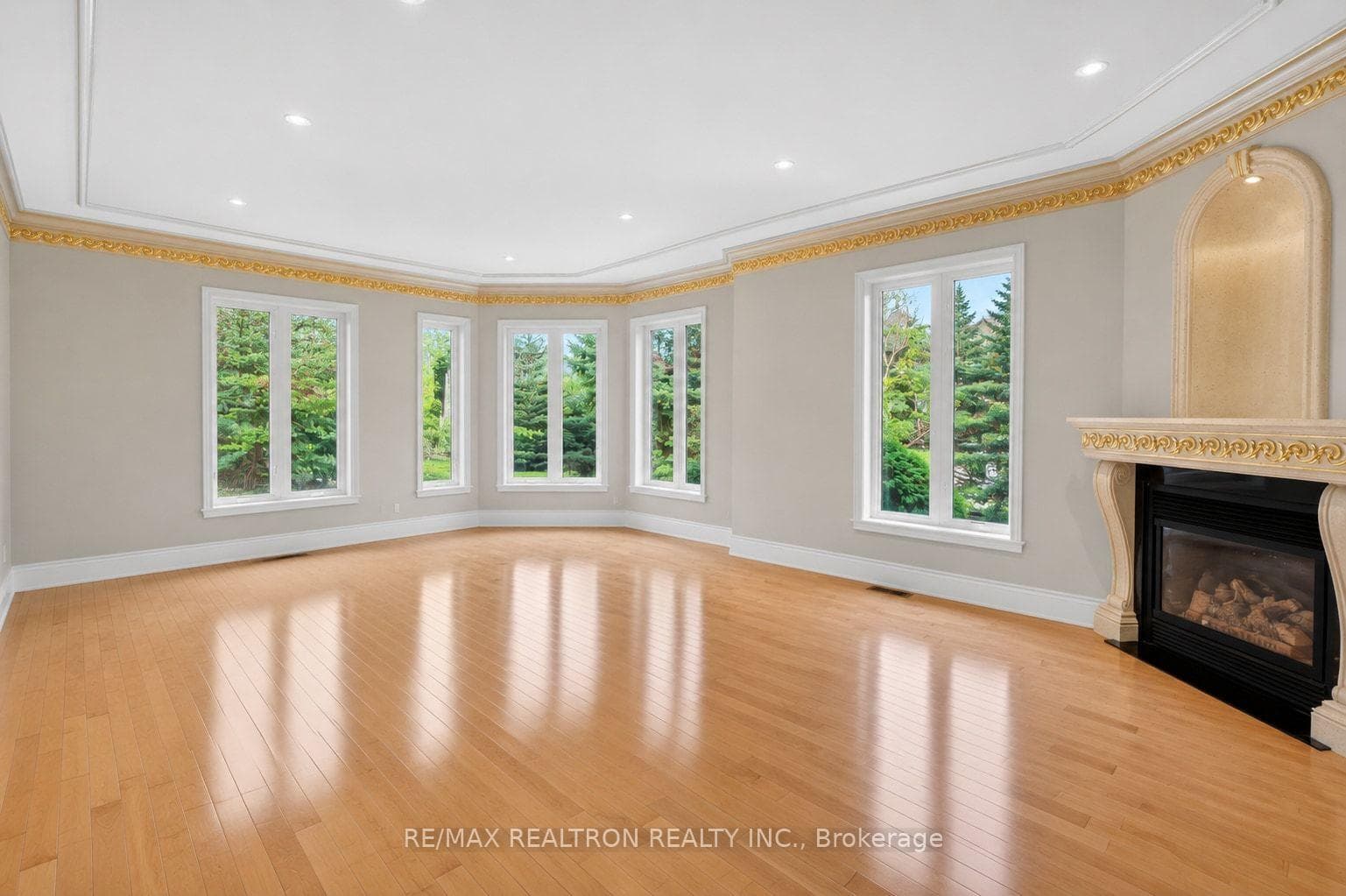 171 Lawrie Road photo 15