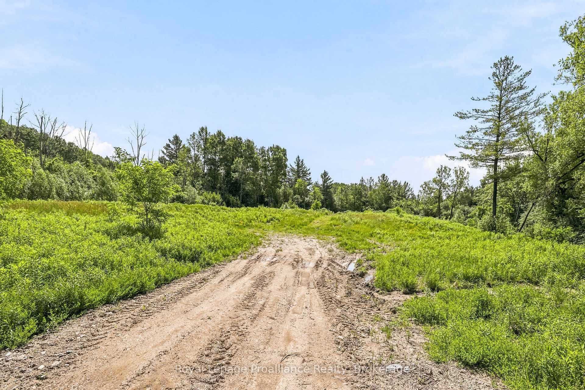 00 Bickle Hill Road photo 21