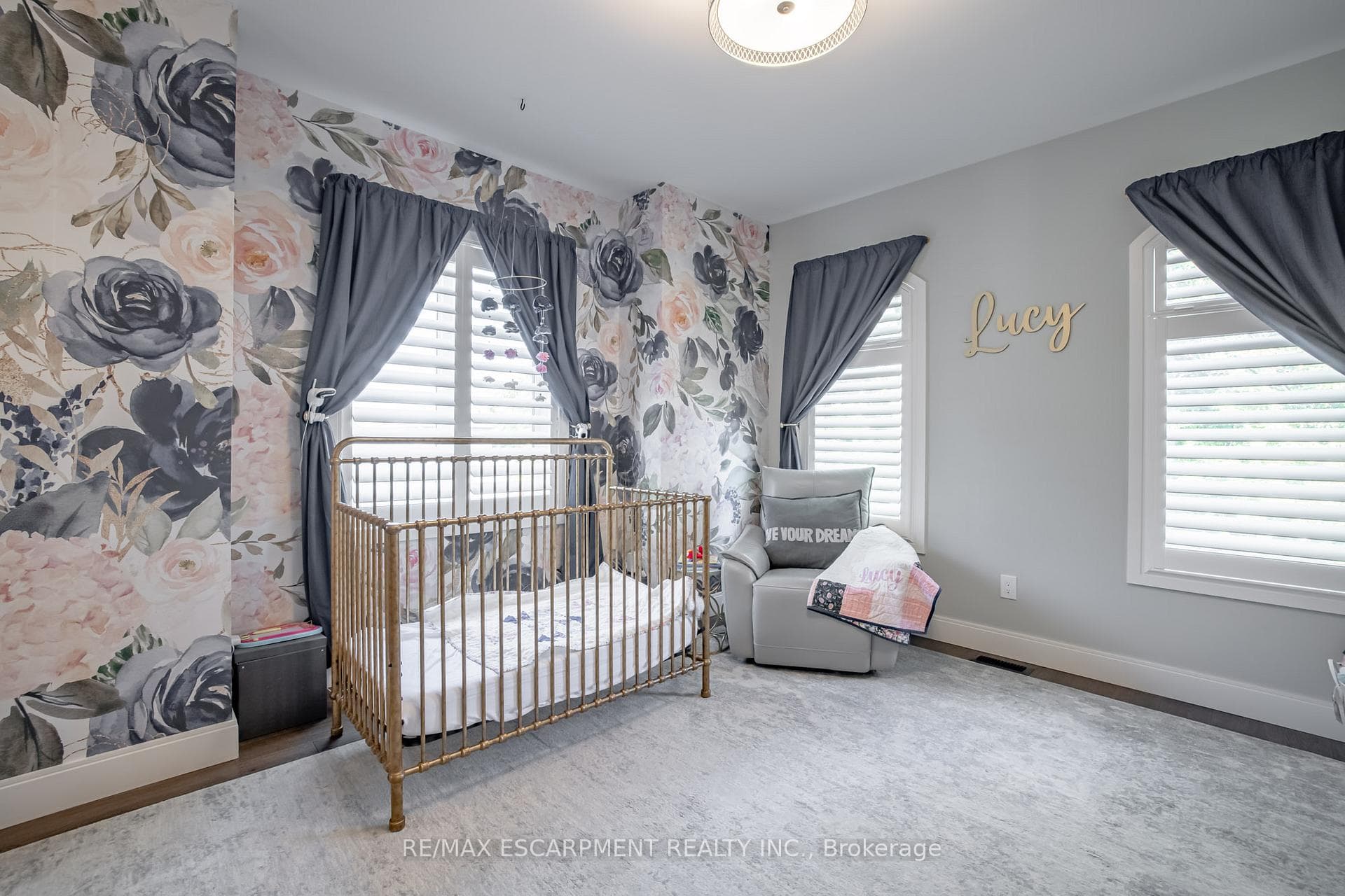 4 Lockman Drive photo 21