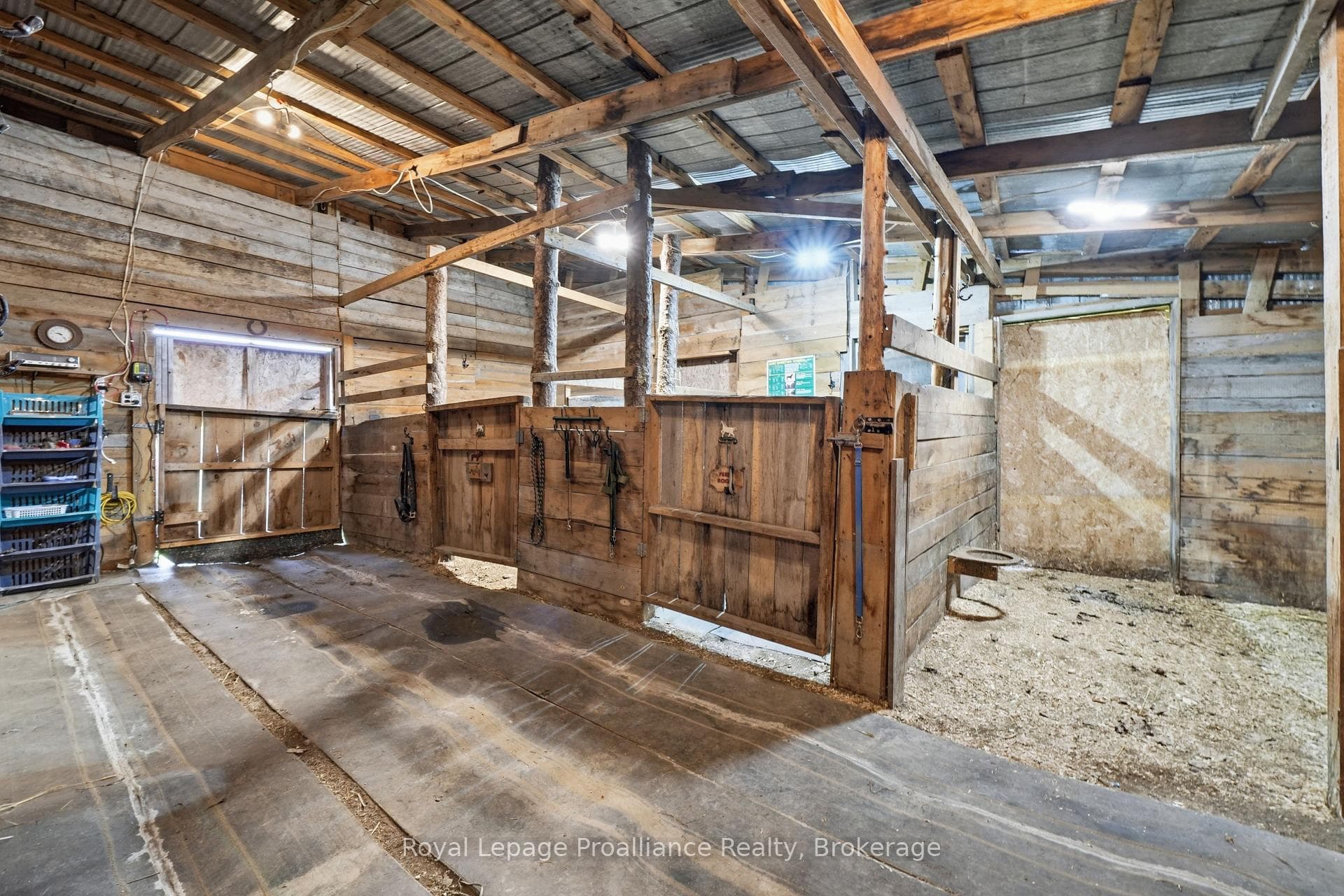 384 Carson Road photo 28