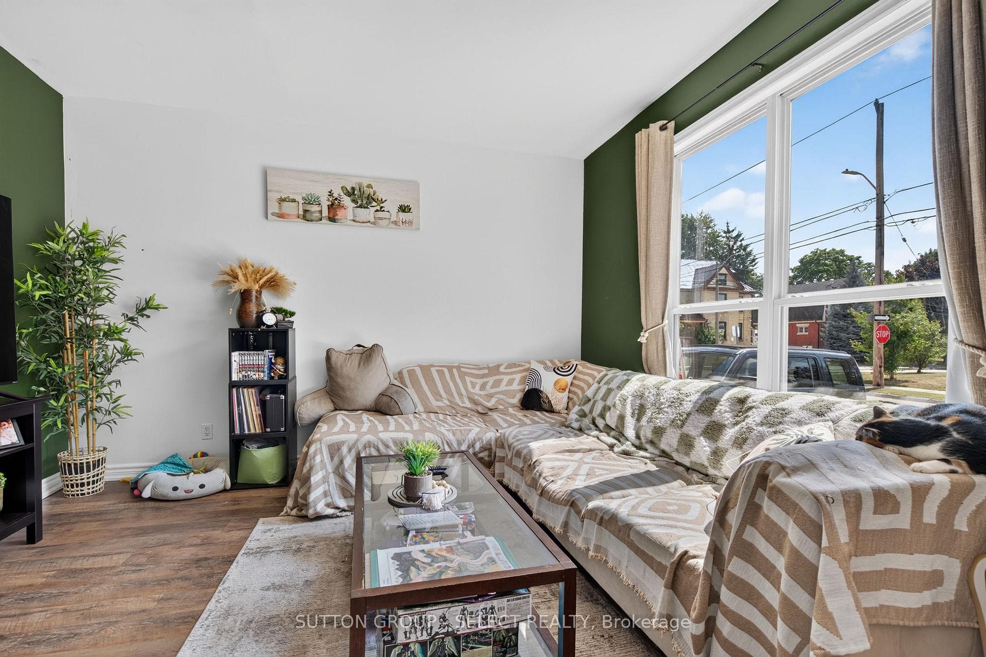 174 Clarence Street photo 7