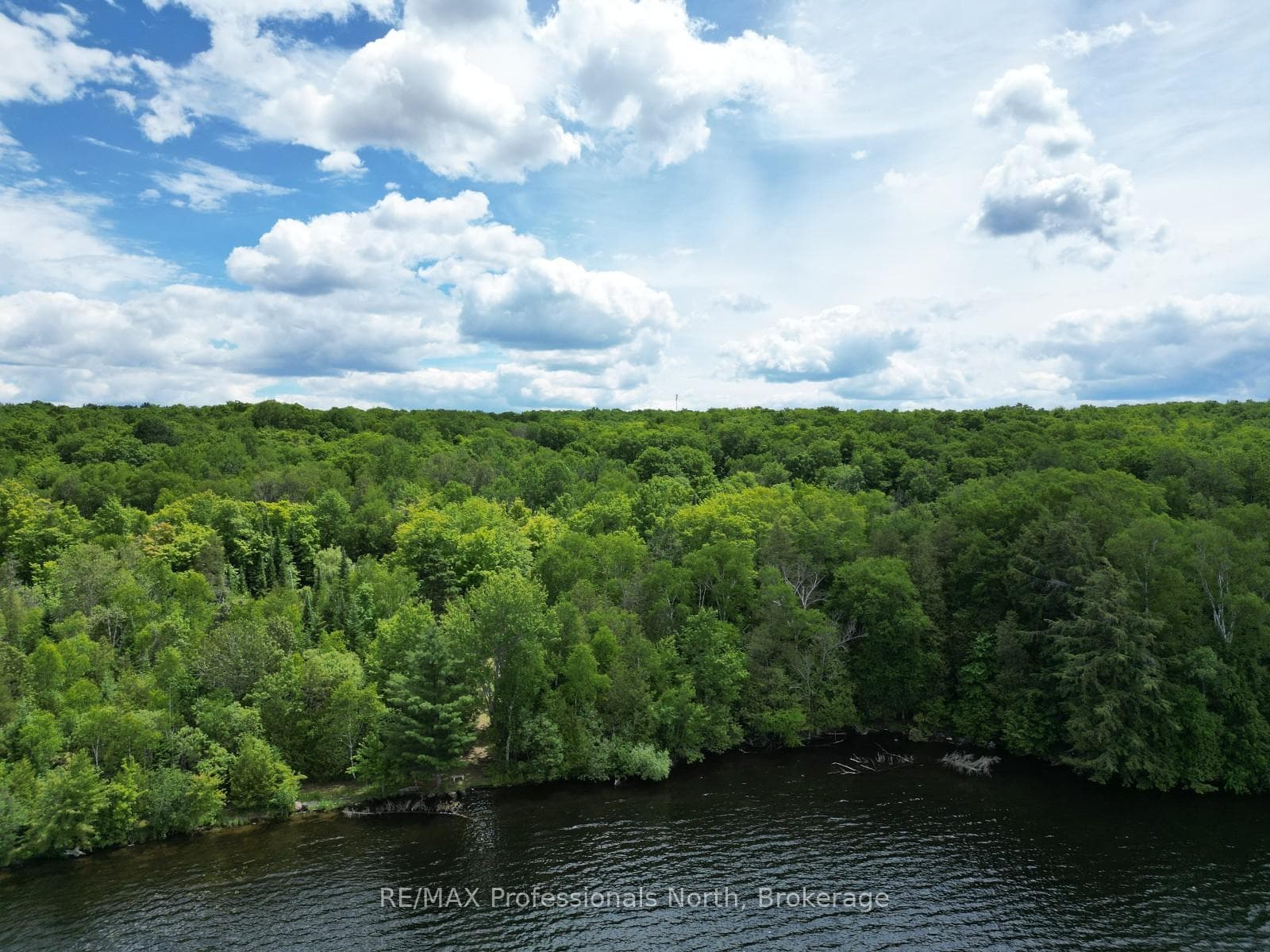 2397 Kashagawigamog Lake Road photo 2