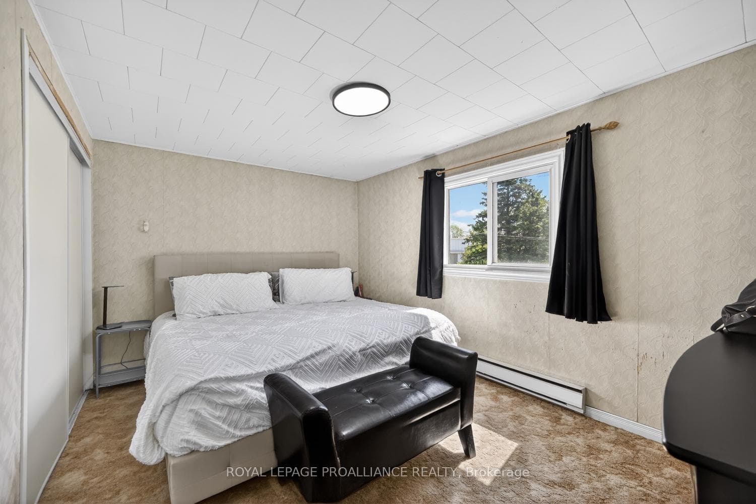 530 Gill Street photo 22