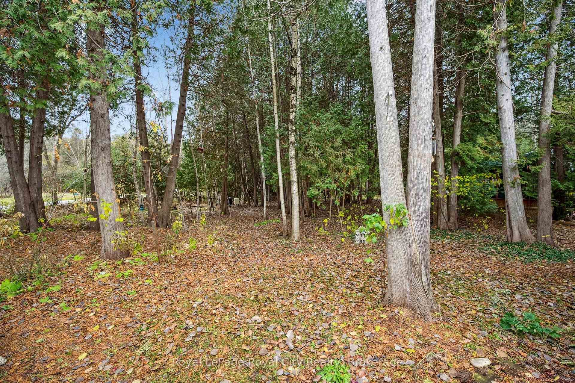 10 Spruce Avenue photo 26