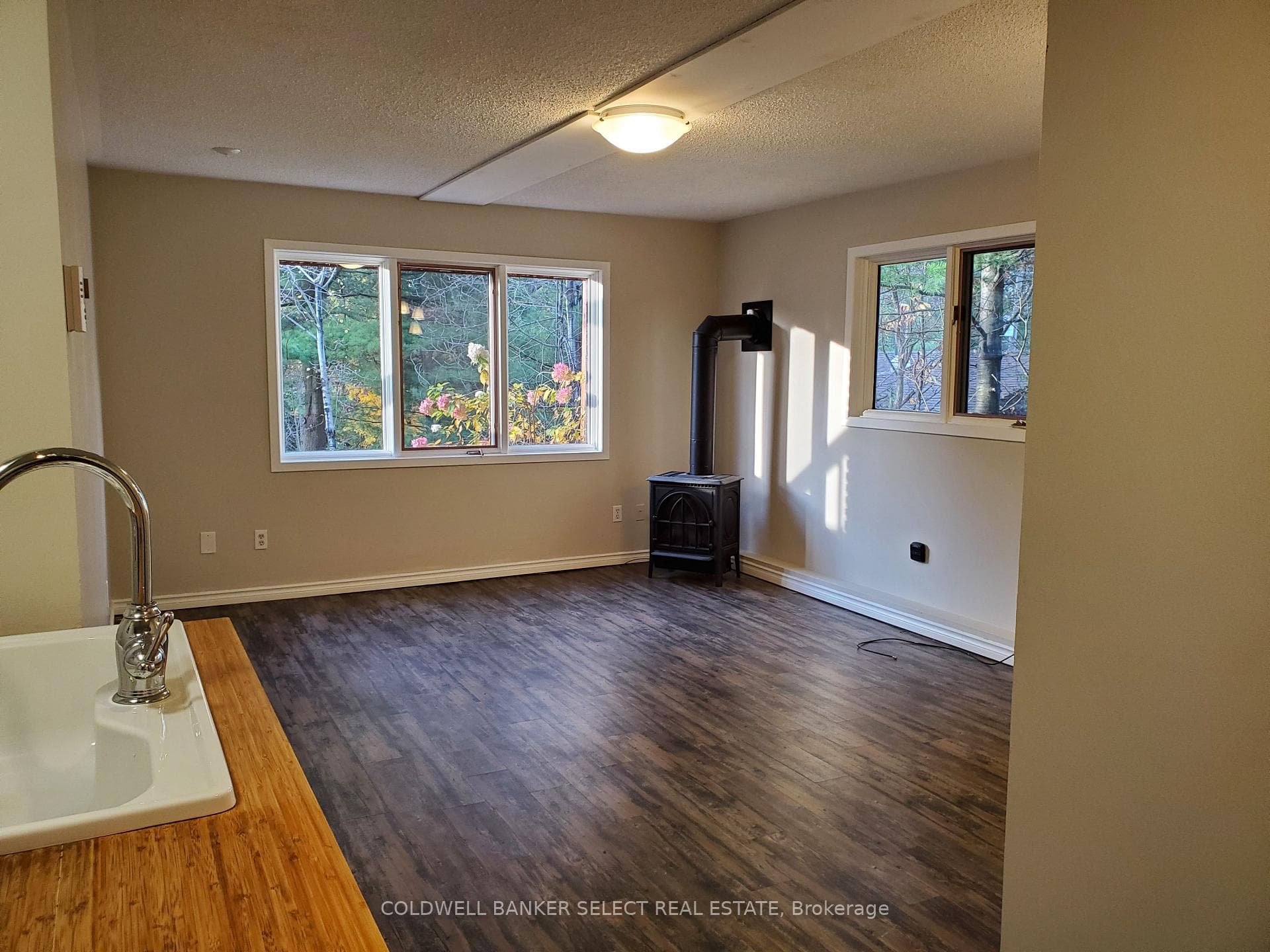16 Albert Street photo 22