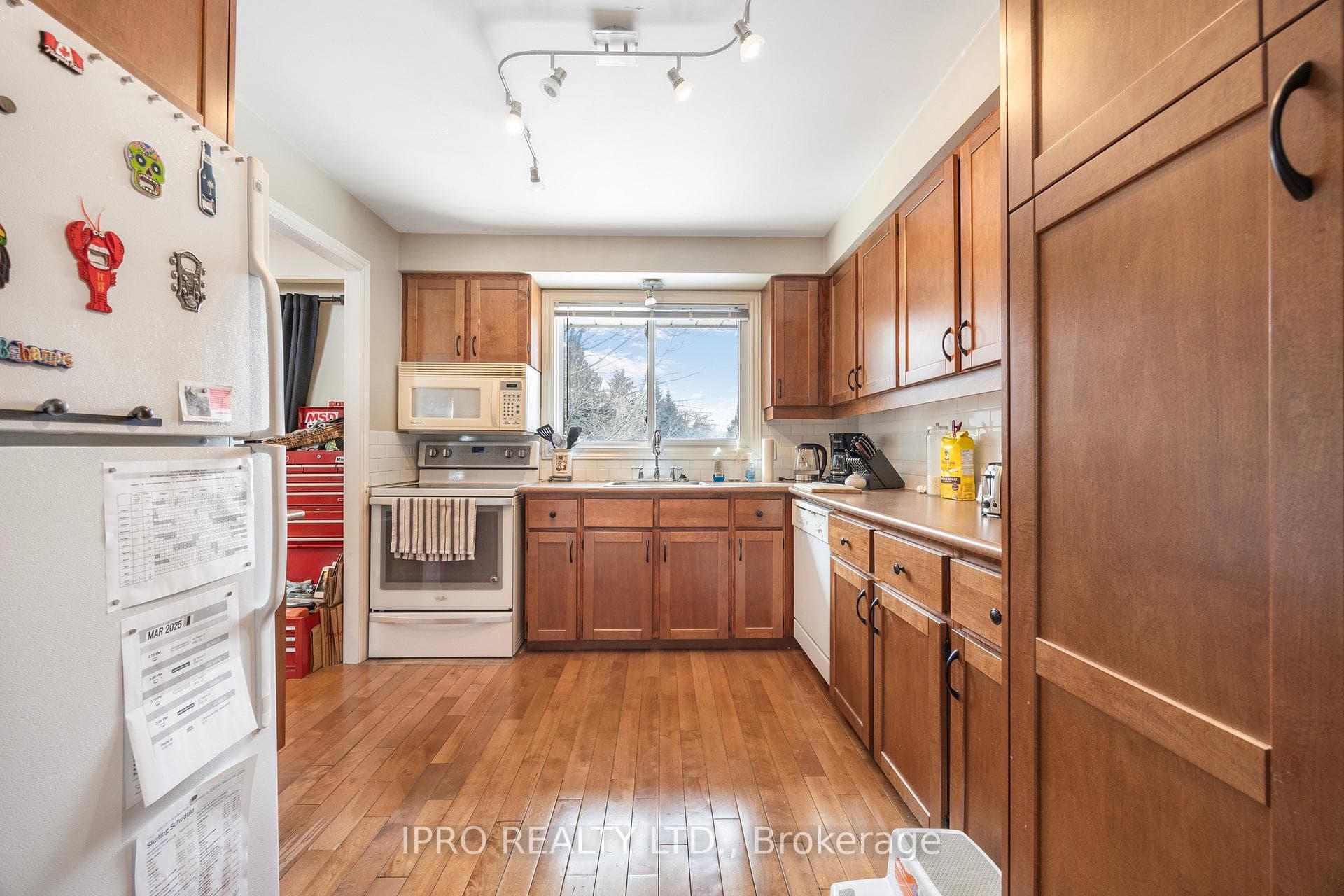 504 Stewart Street photo 10