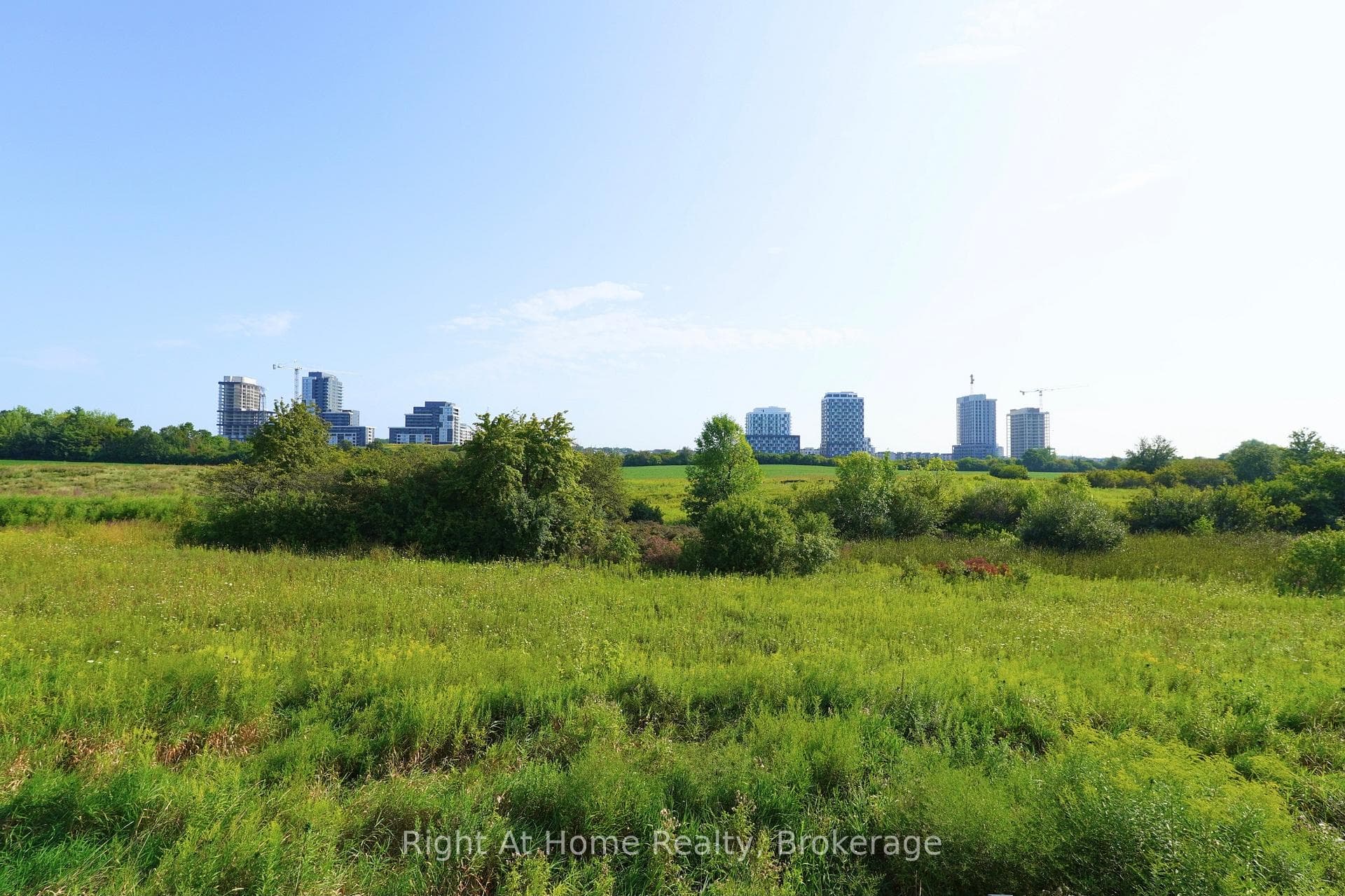 ravine looking