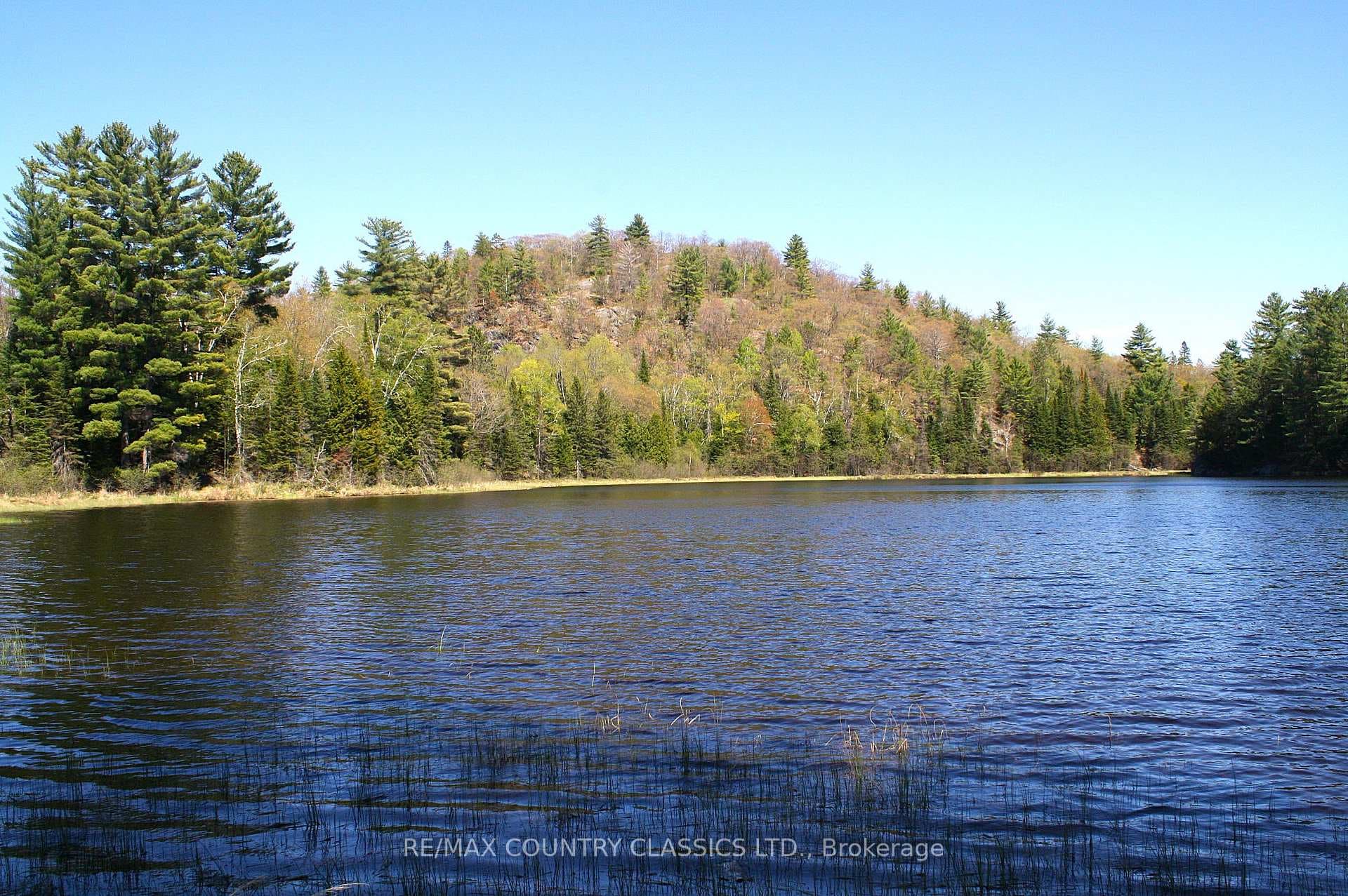 1060 Little Ireland Road photo 4