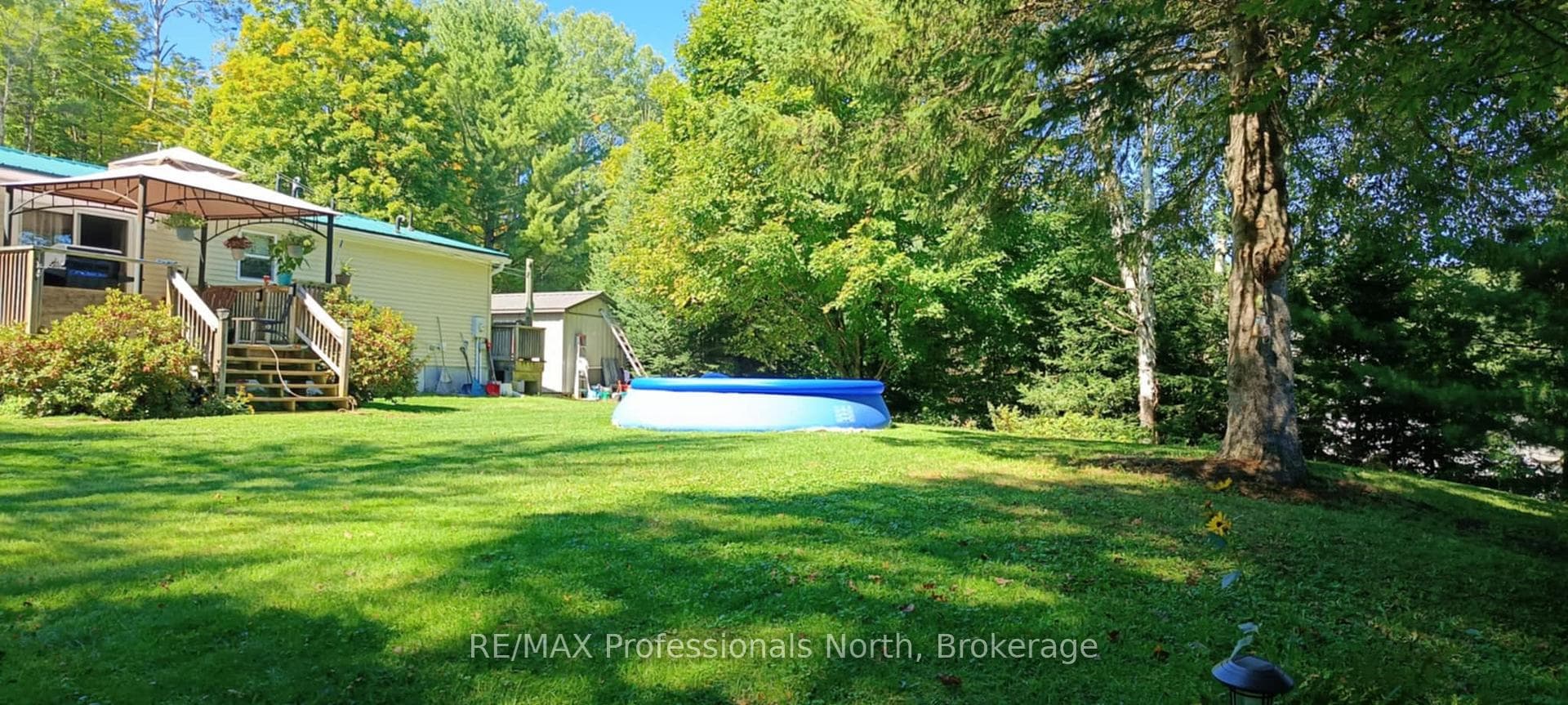 Summer Image- Beautiful grassed yard (NO POOL)