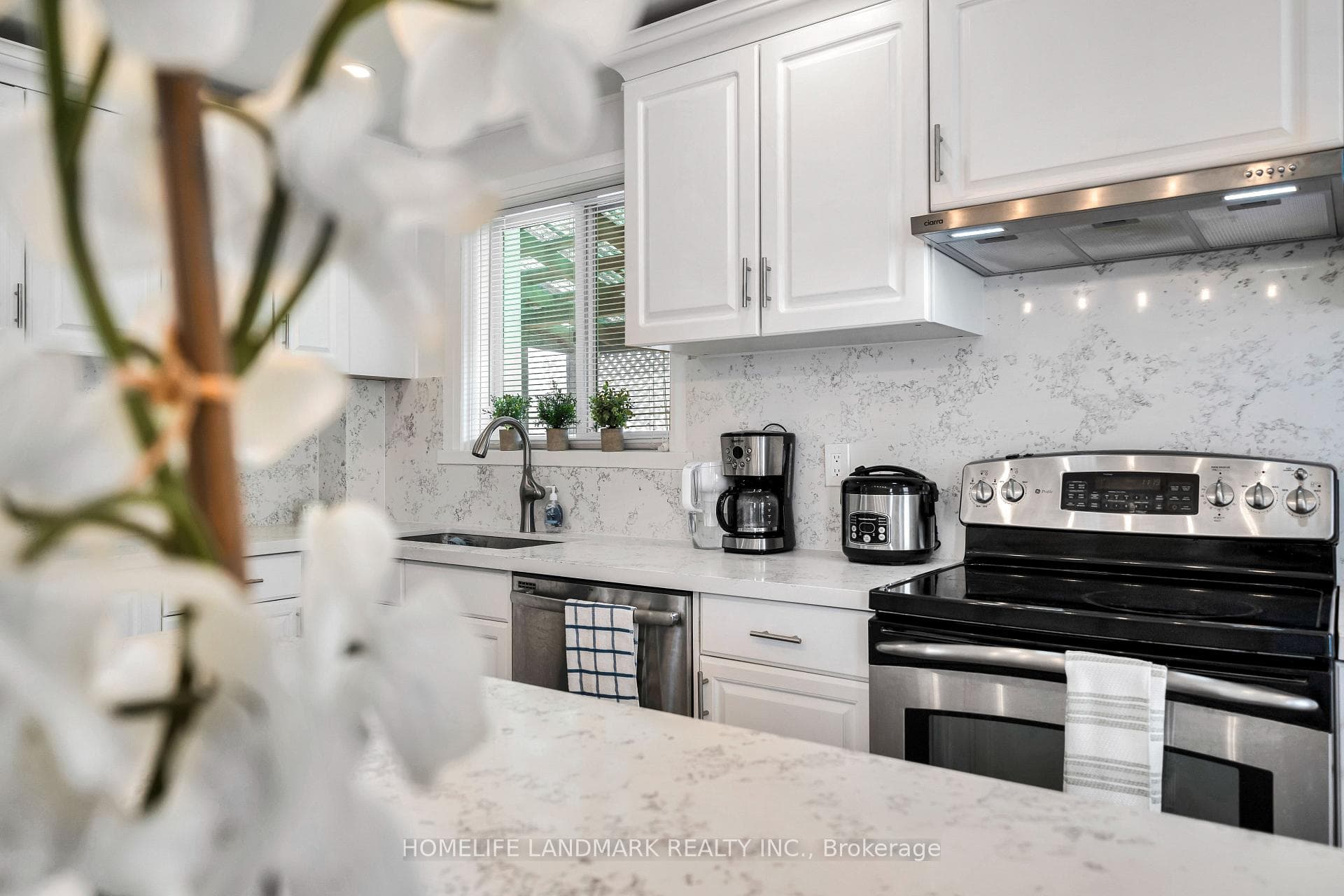 523 Albert Street photo 4
