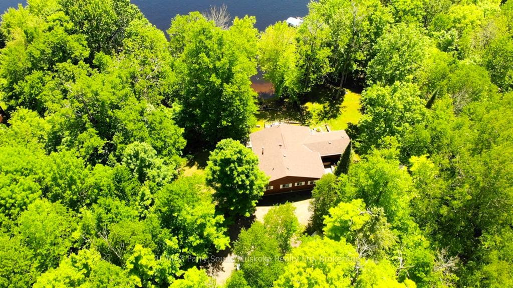 Nestled in the Trees