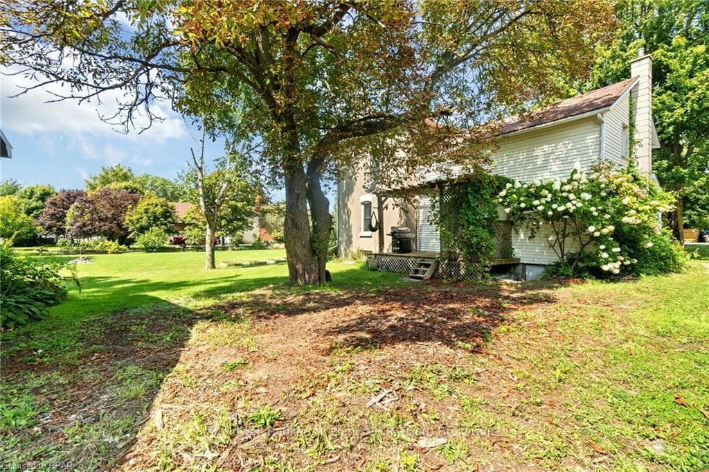 71 ALBERT Street photo 39