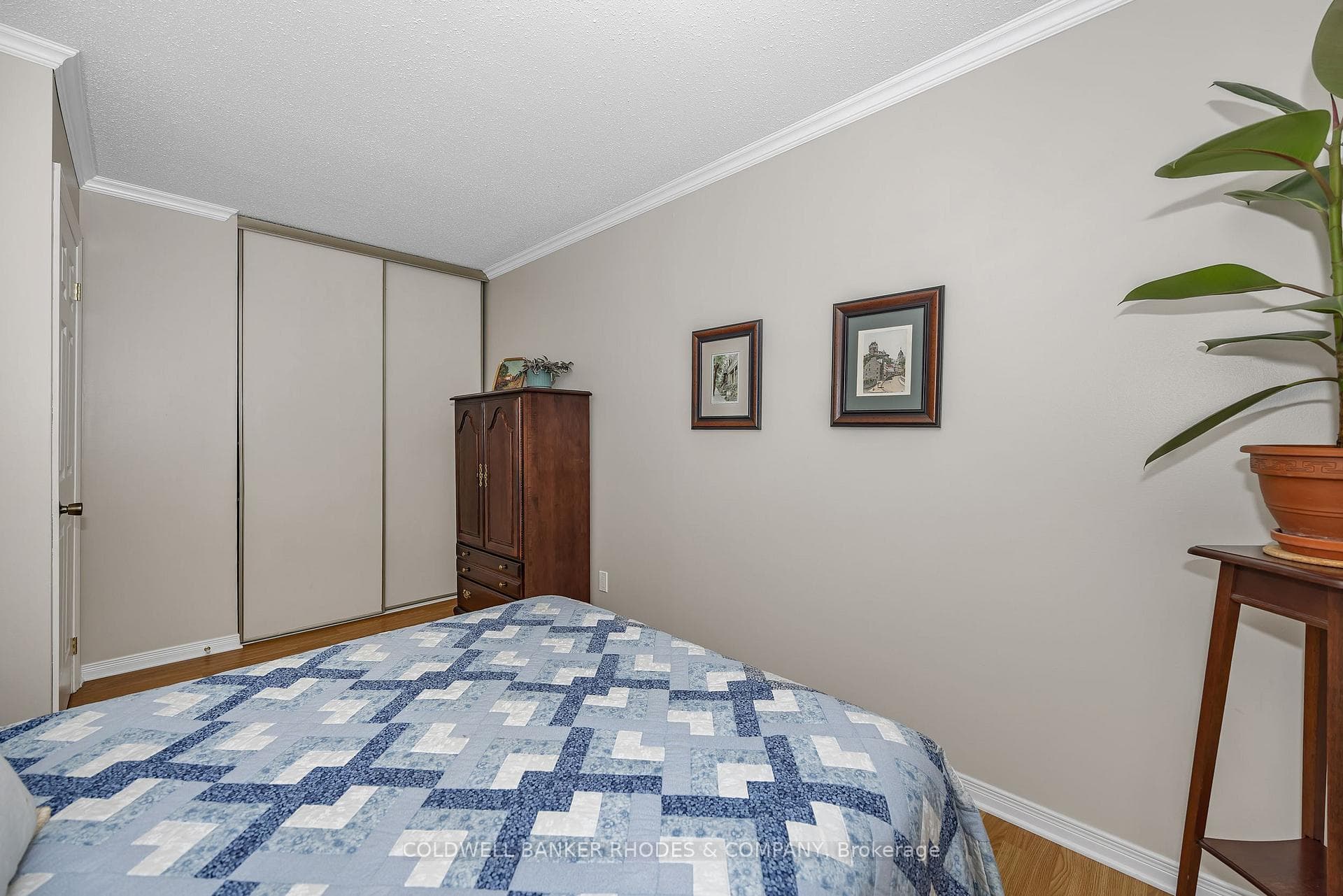 4 Almond Lane photo 20