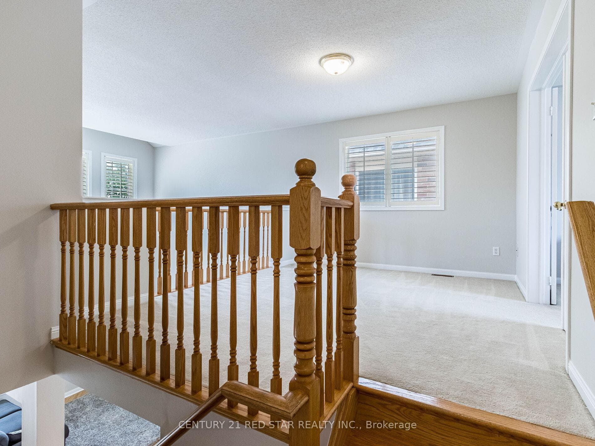 34 Williamson Drive photo 21