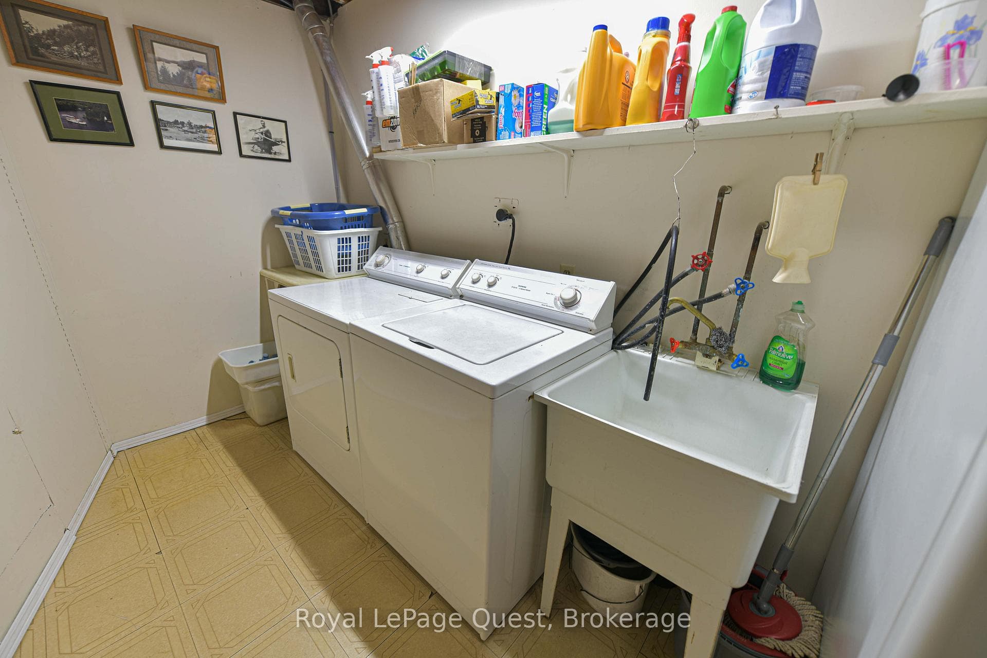 4 Chestnut Place photo 24