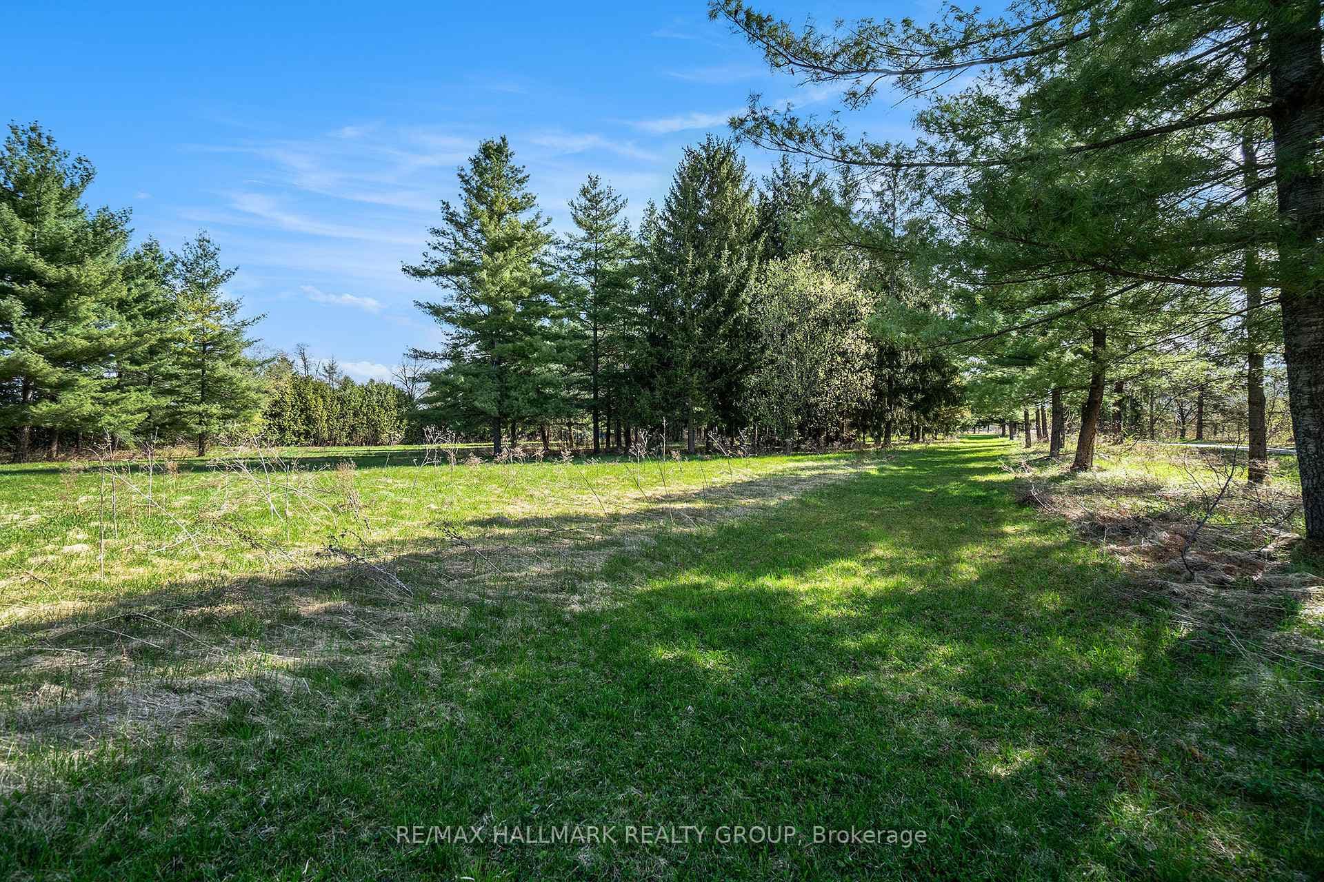 942 Cameron Street photo 8
