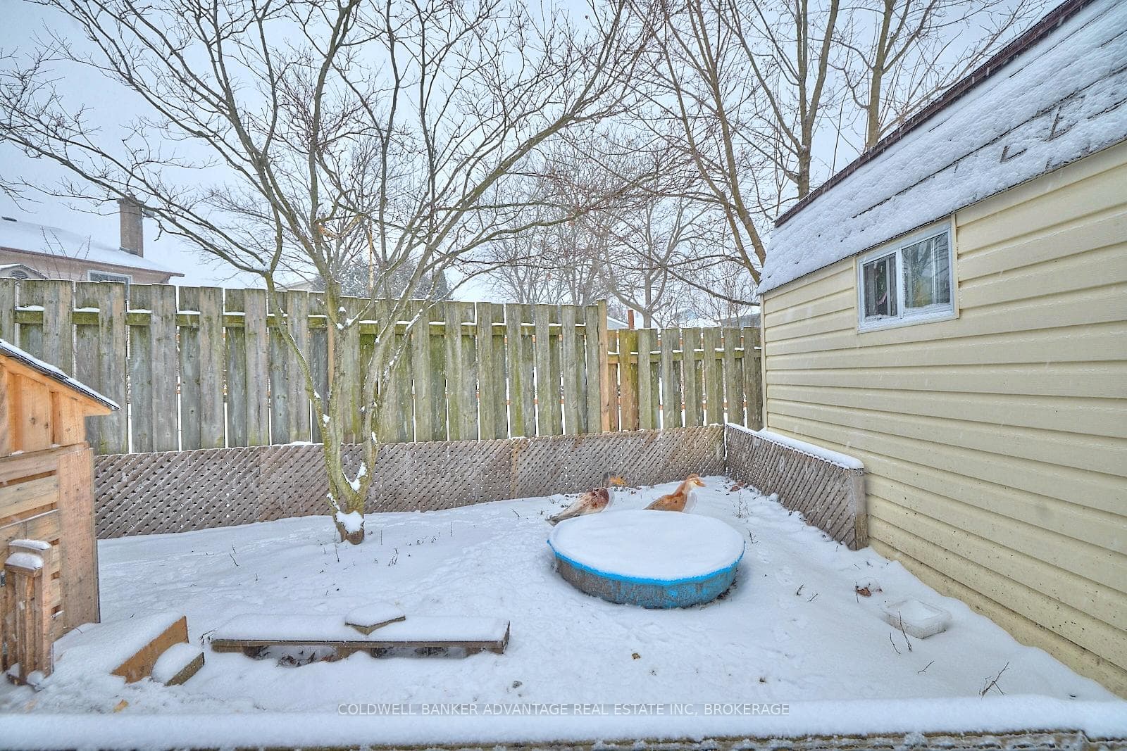 159 Windsor Street photo 29